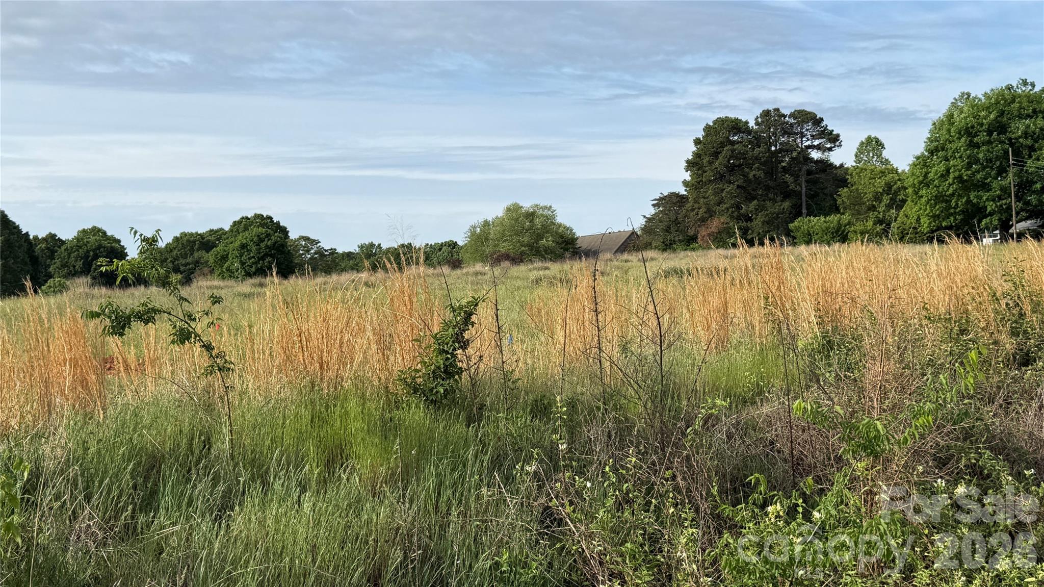 Tbd Nc 10 Highway 1 Property Photo 2