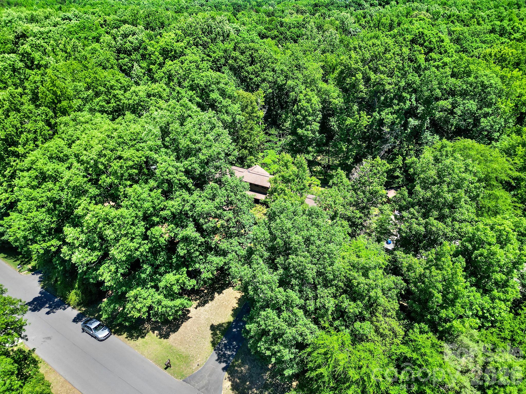 11510 Gelding Drive Property Photo 40