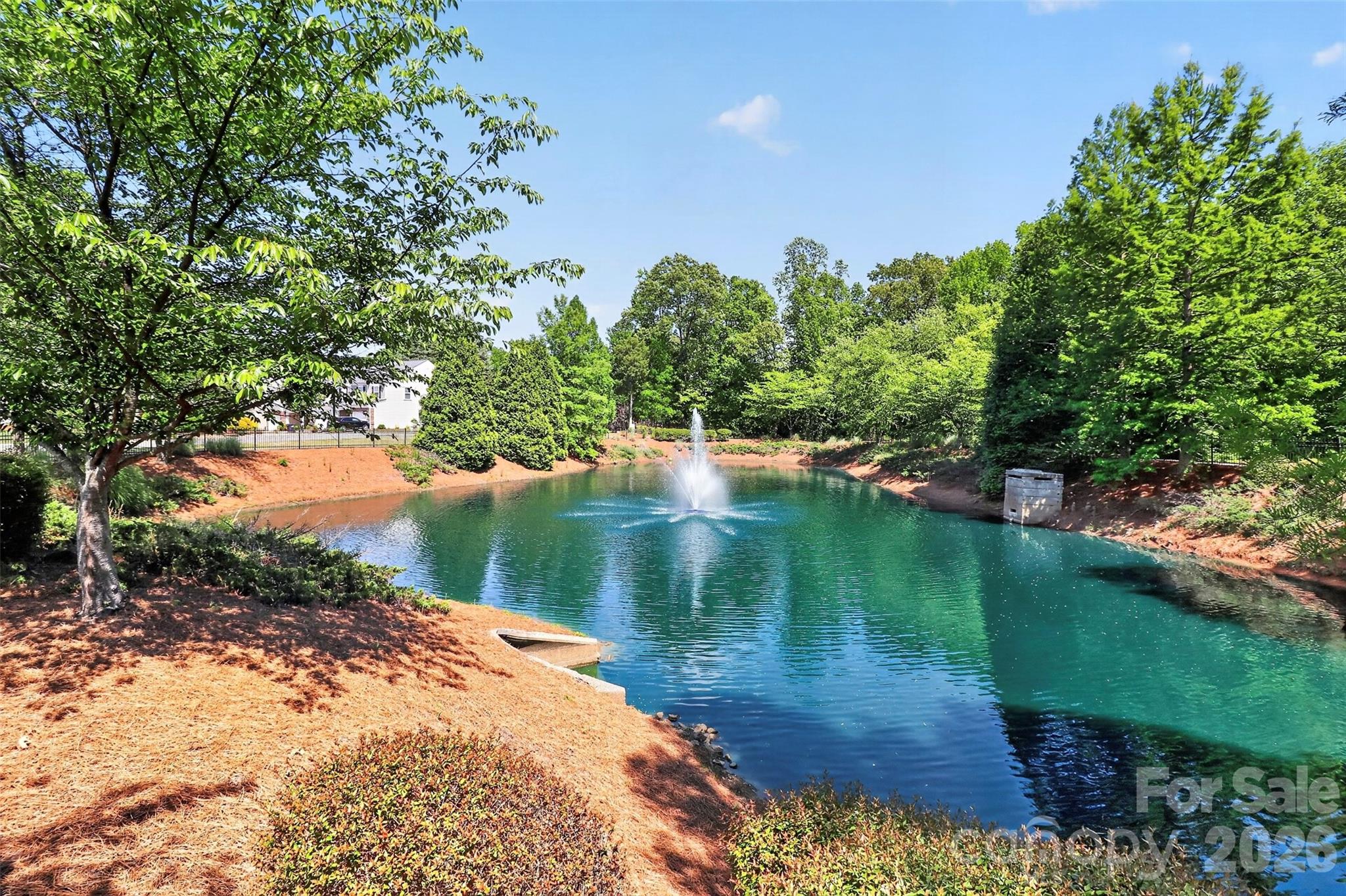 529 Hunters Dance Road Property Photo 14