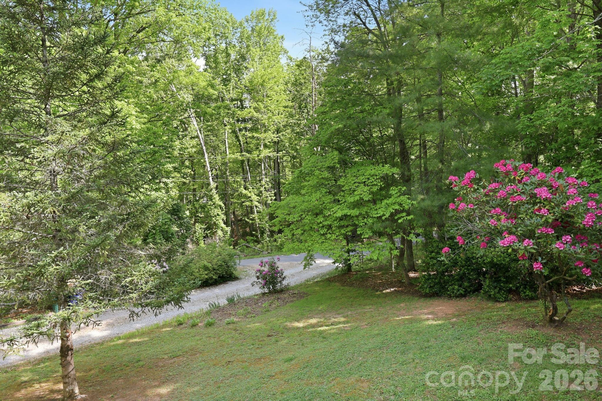 1 Mountain Heritage Place Property Photo 47