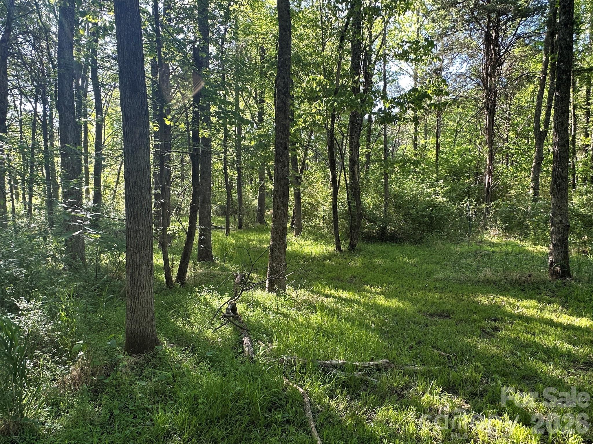 00 Bonkin Lake Road 3 Property Photo 6