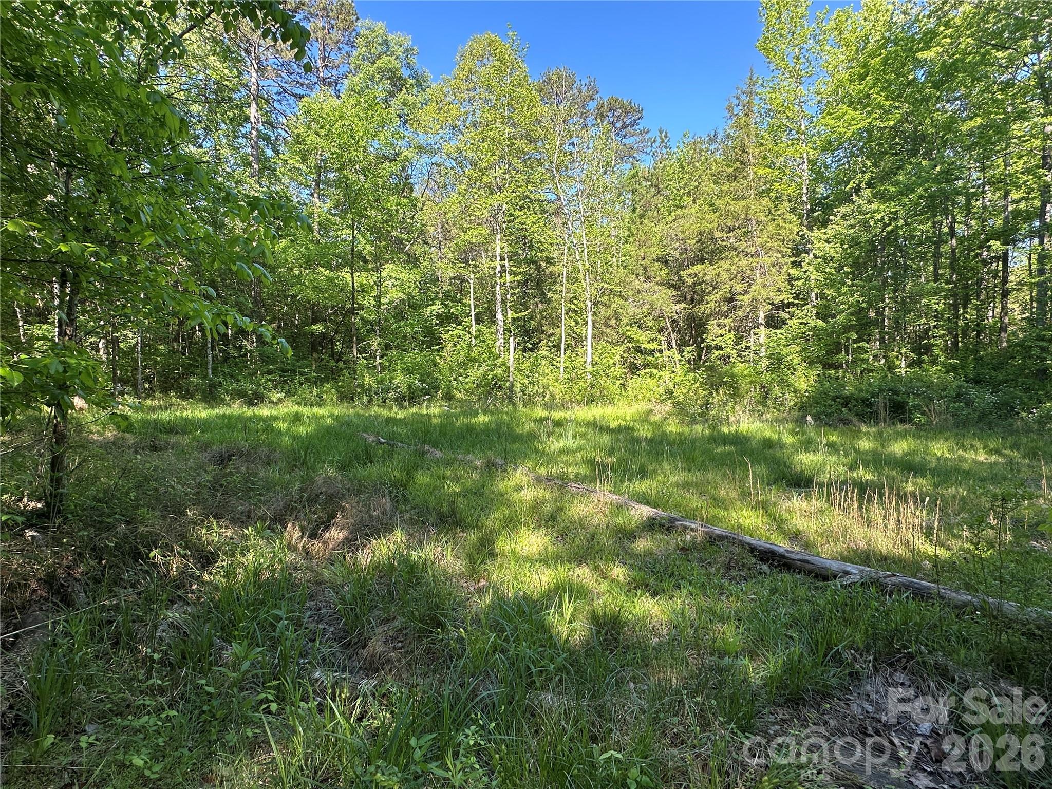 00 Bonkin Lake Road 3 Property Photo 7