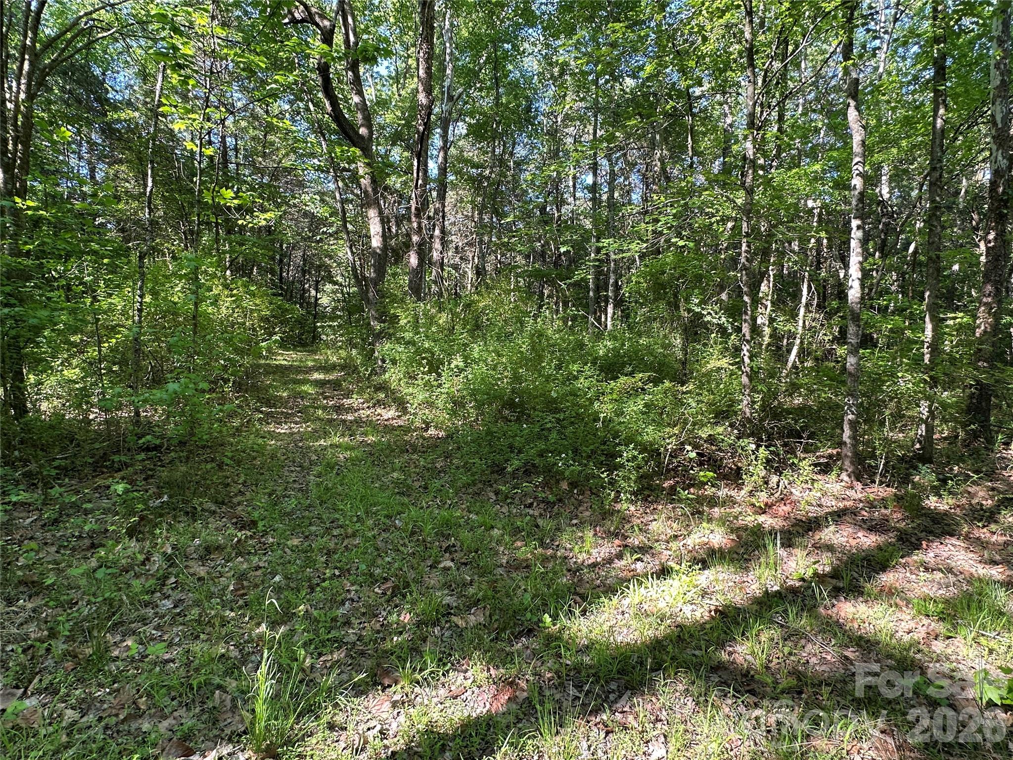 00 Bonkin Lake Road 3 Property Photo 8