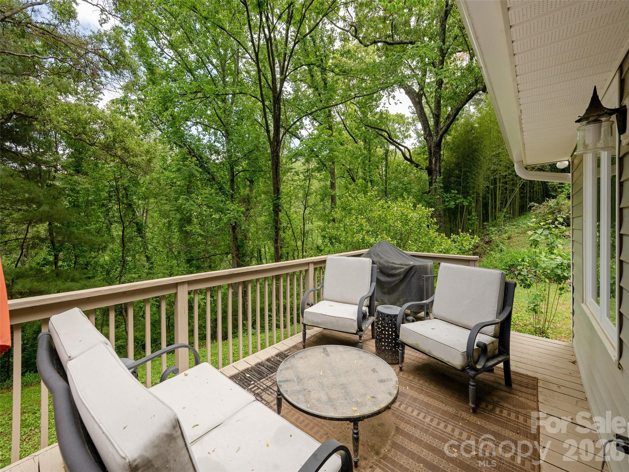 411 Patton Mountain Road Property Photo 23