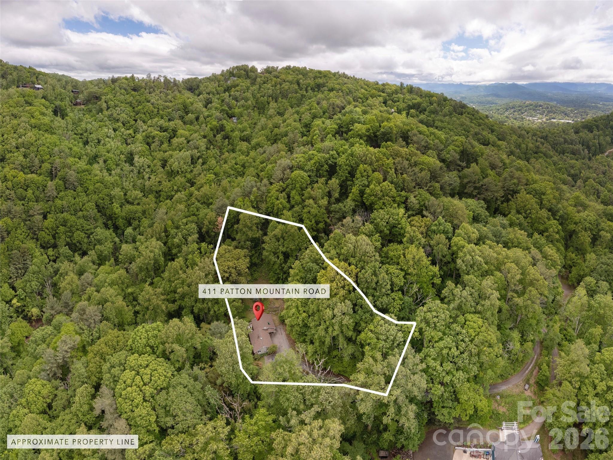411 Patton Mountain Road Property Photo 33