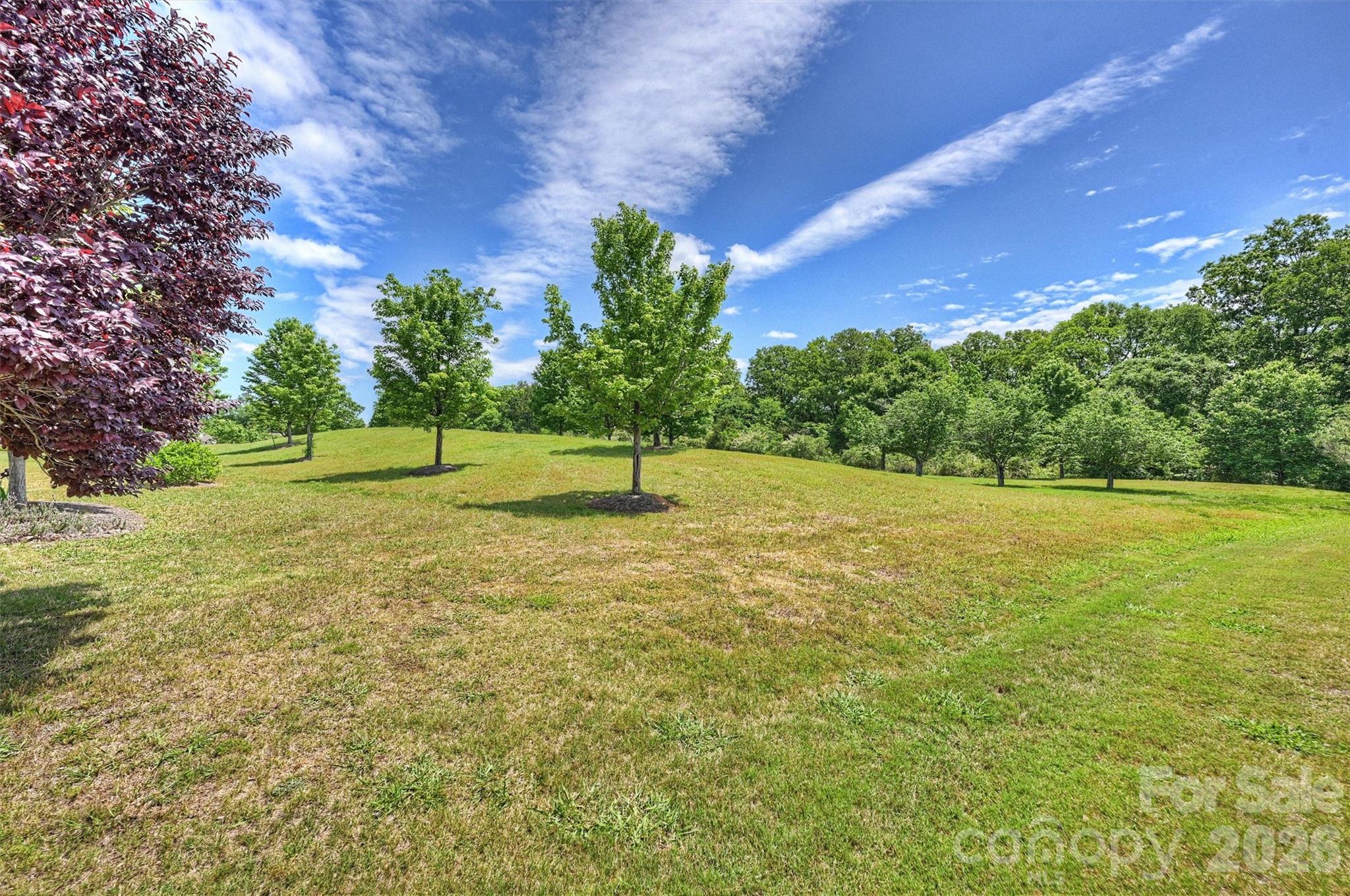 23116 Kingfisher Drive Property Photo 34
