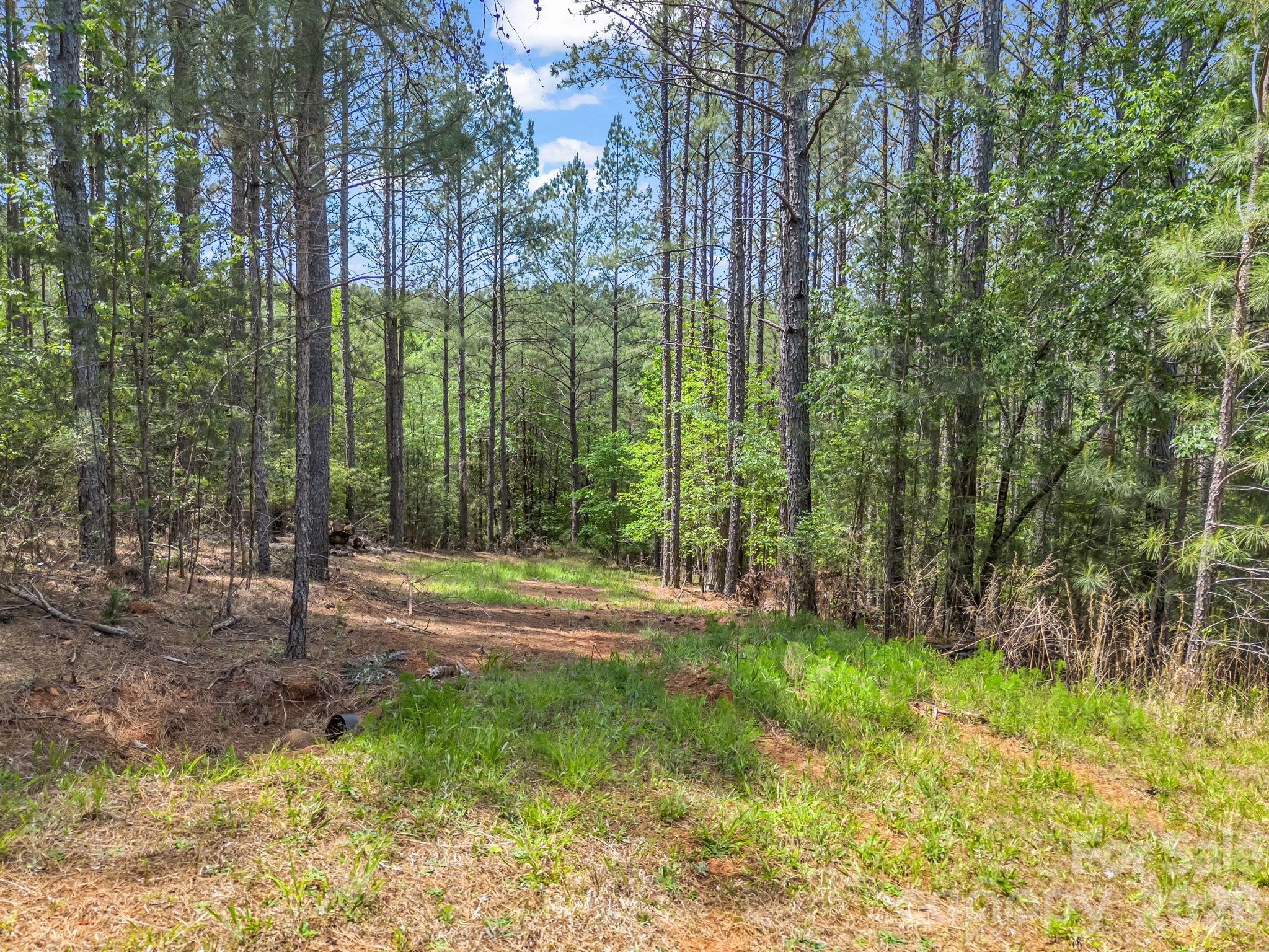 111 Cranberry Lane Property Photo 1
