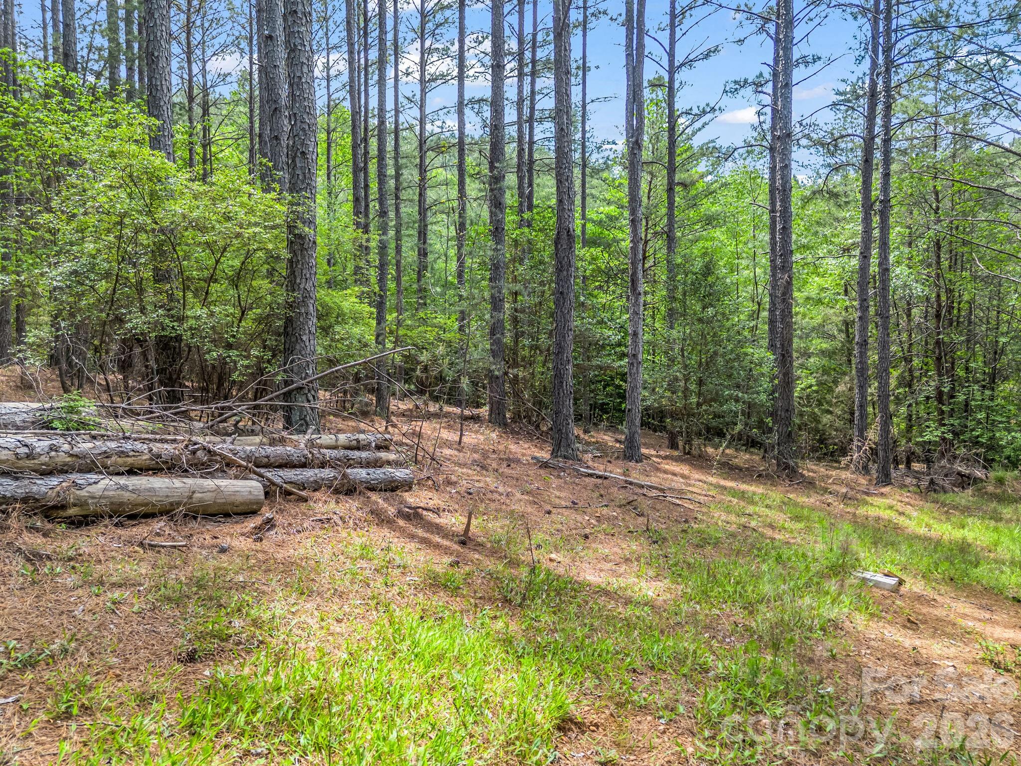 111 Cranberry Lane Property Photo 4