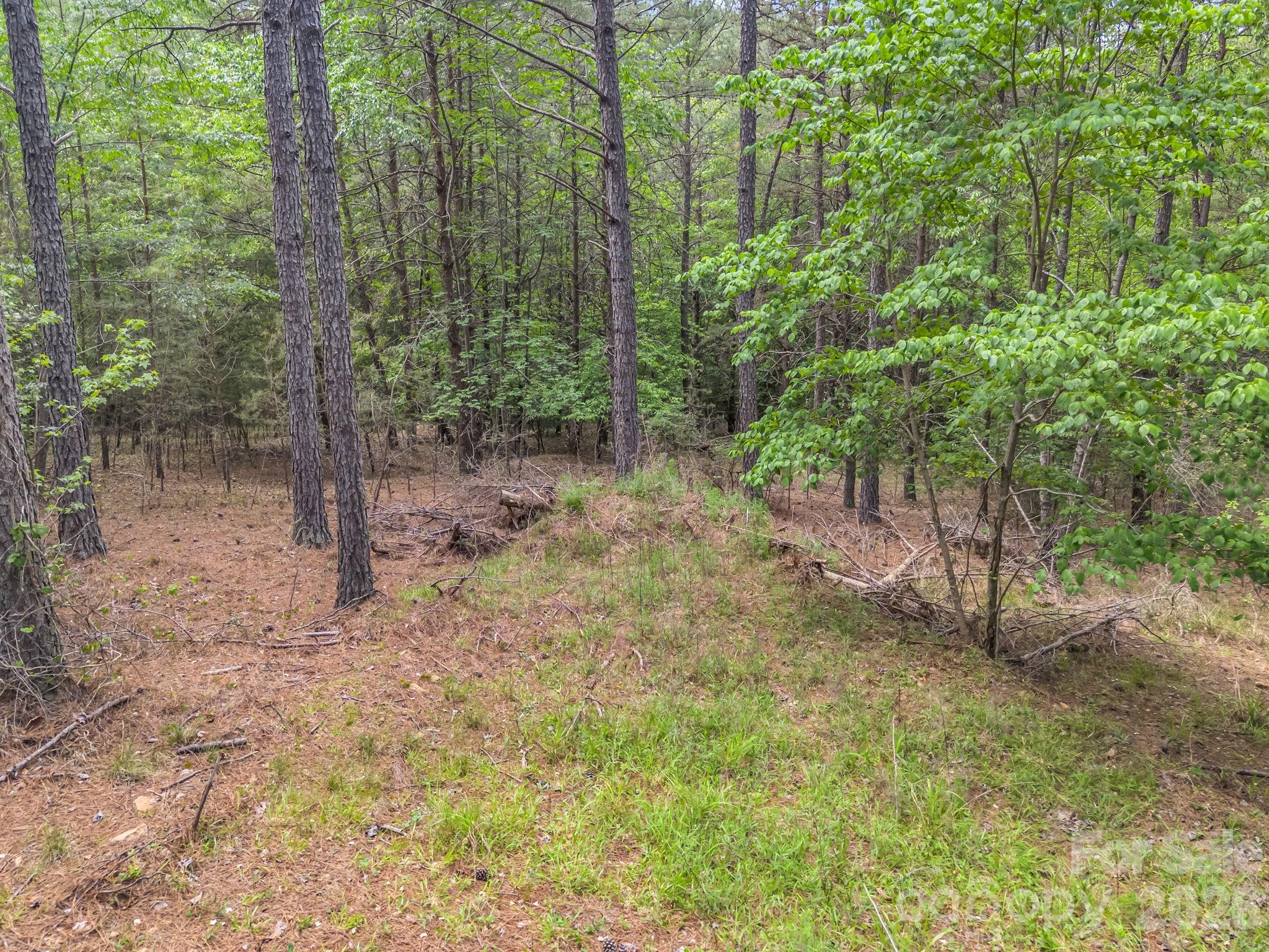 111 Cranberry Lane Property Photo 6