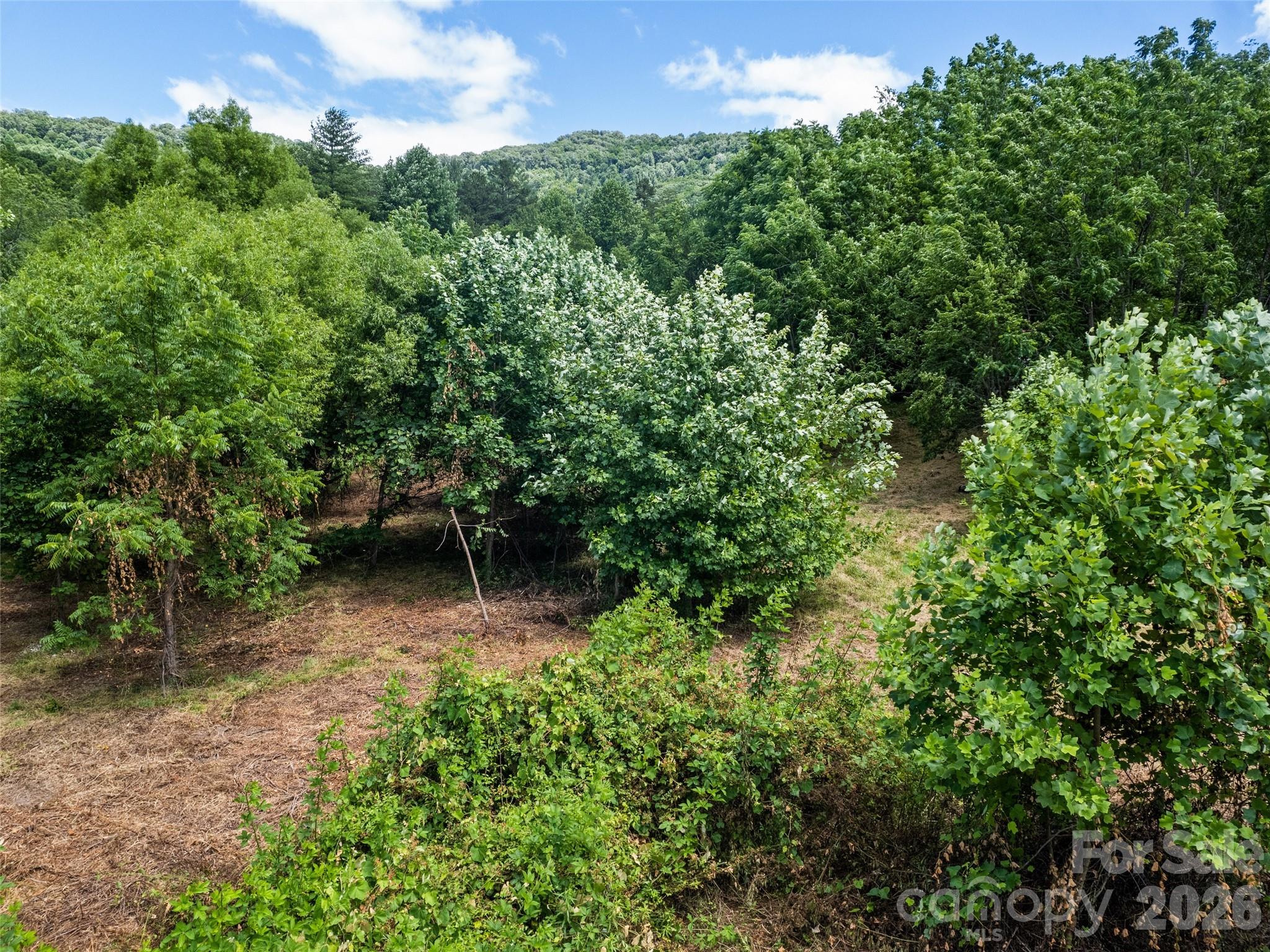 9999 Lollis Road Property Photo 11