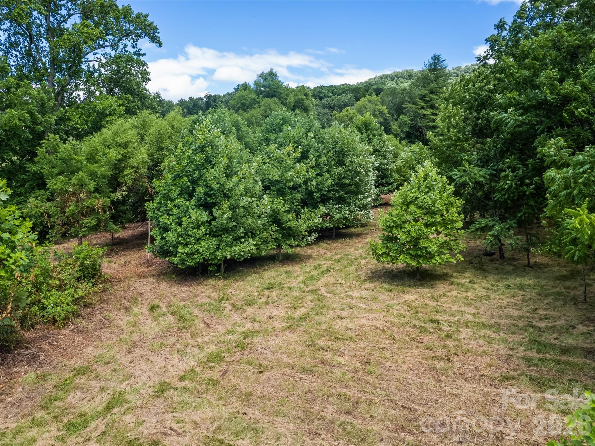 9999 Lollis Road Property Photo 12