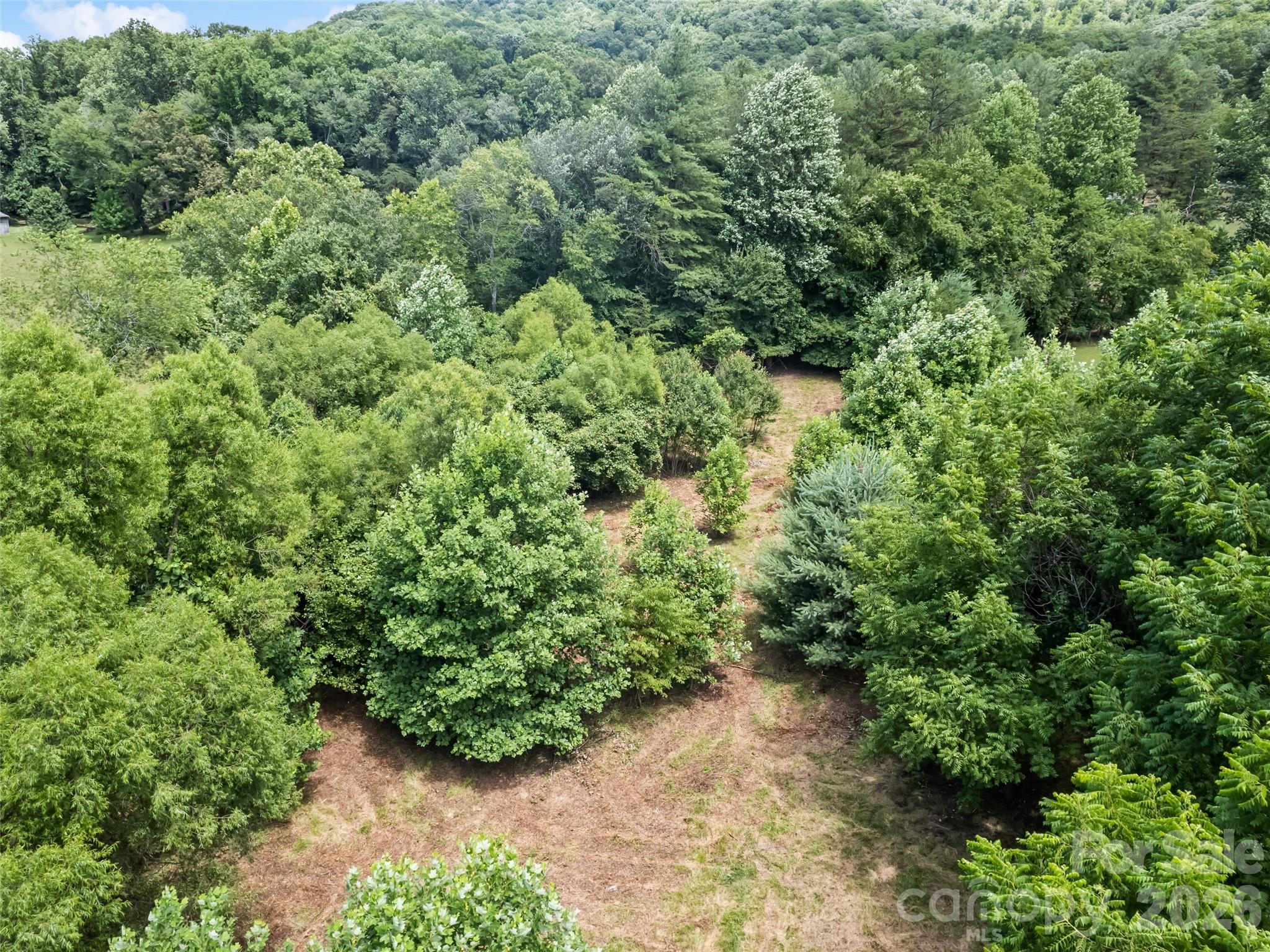 9999 Lollis Road Property Photo 13