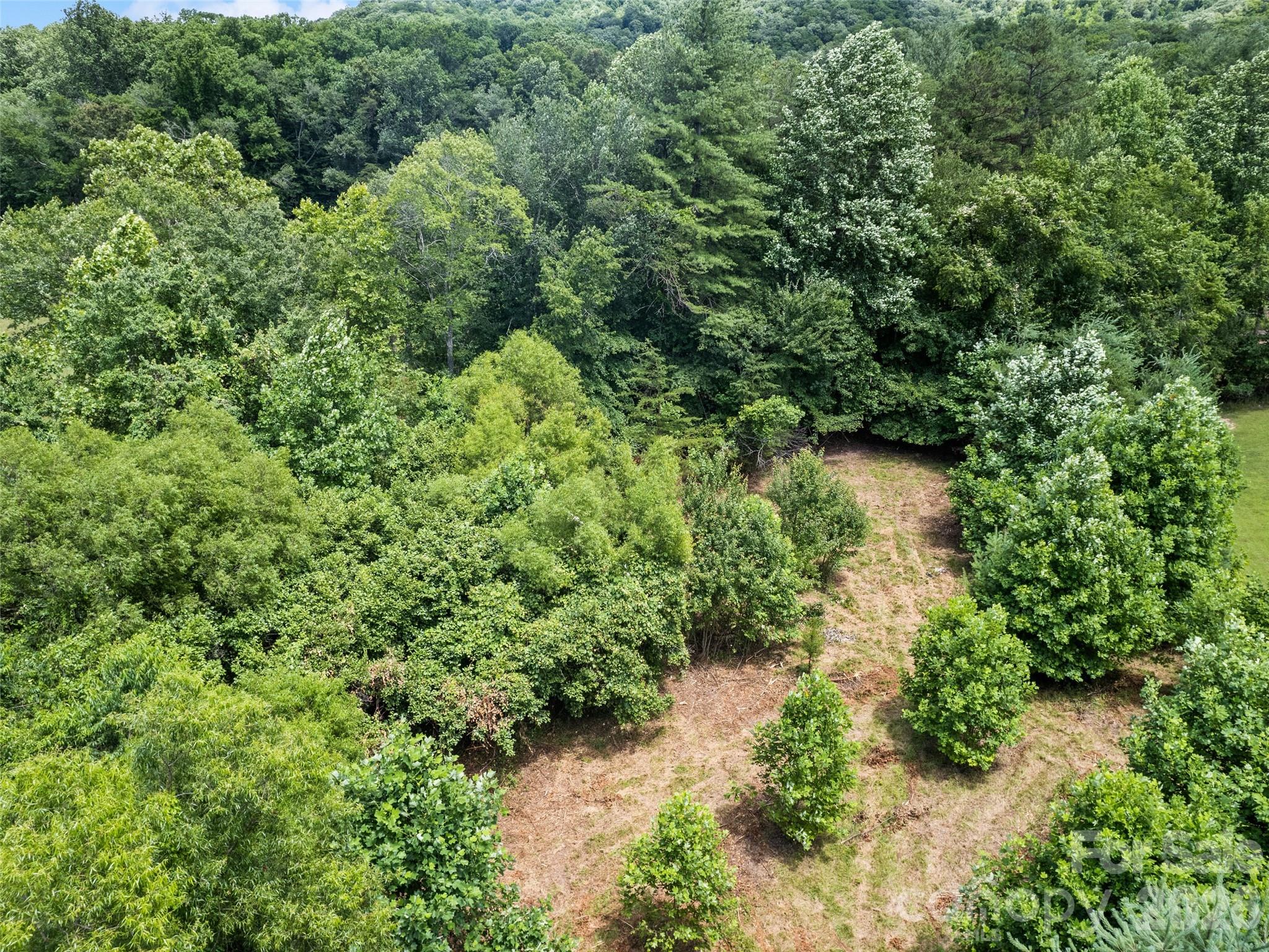 9999 Lollis Road Property Photo 14