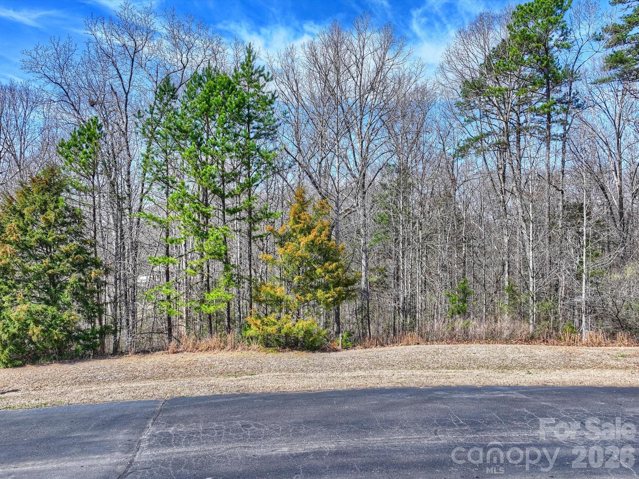 7316 Barrington Ridge Drive Property Photo 6