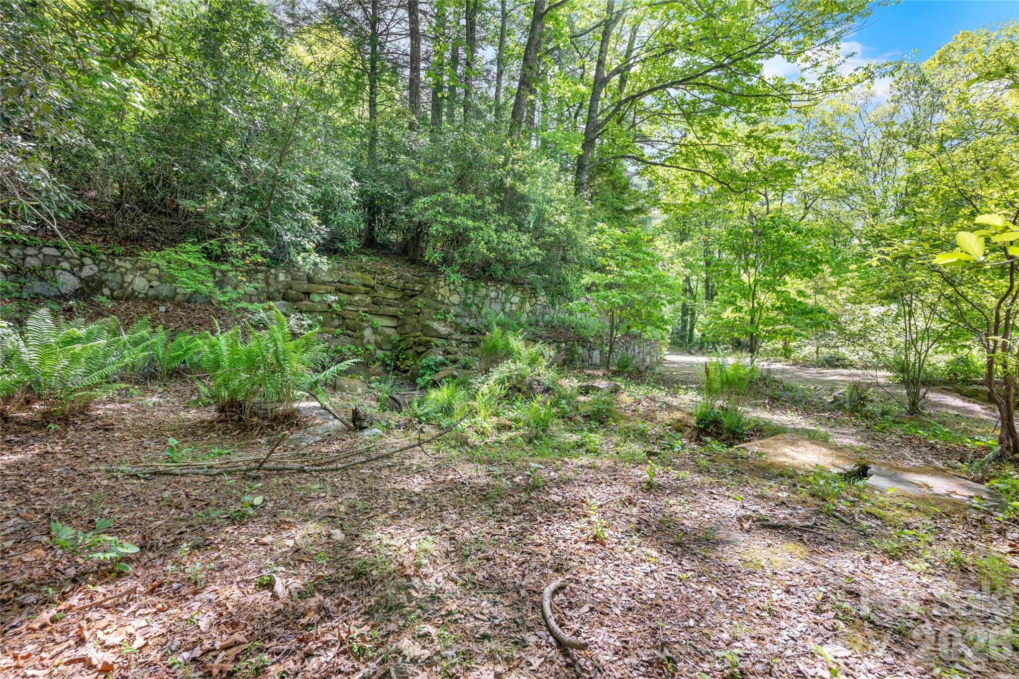 1923 Cold Mountain Road Property Photo 5