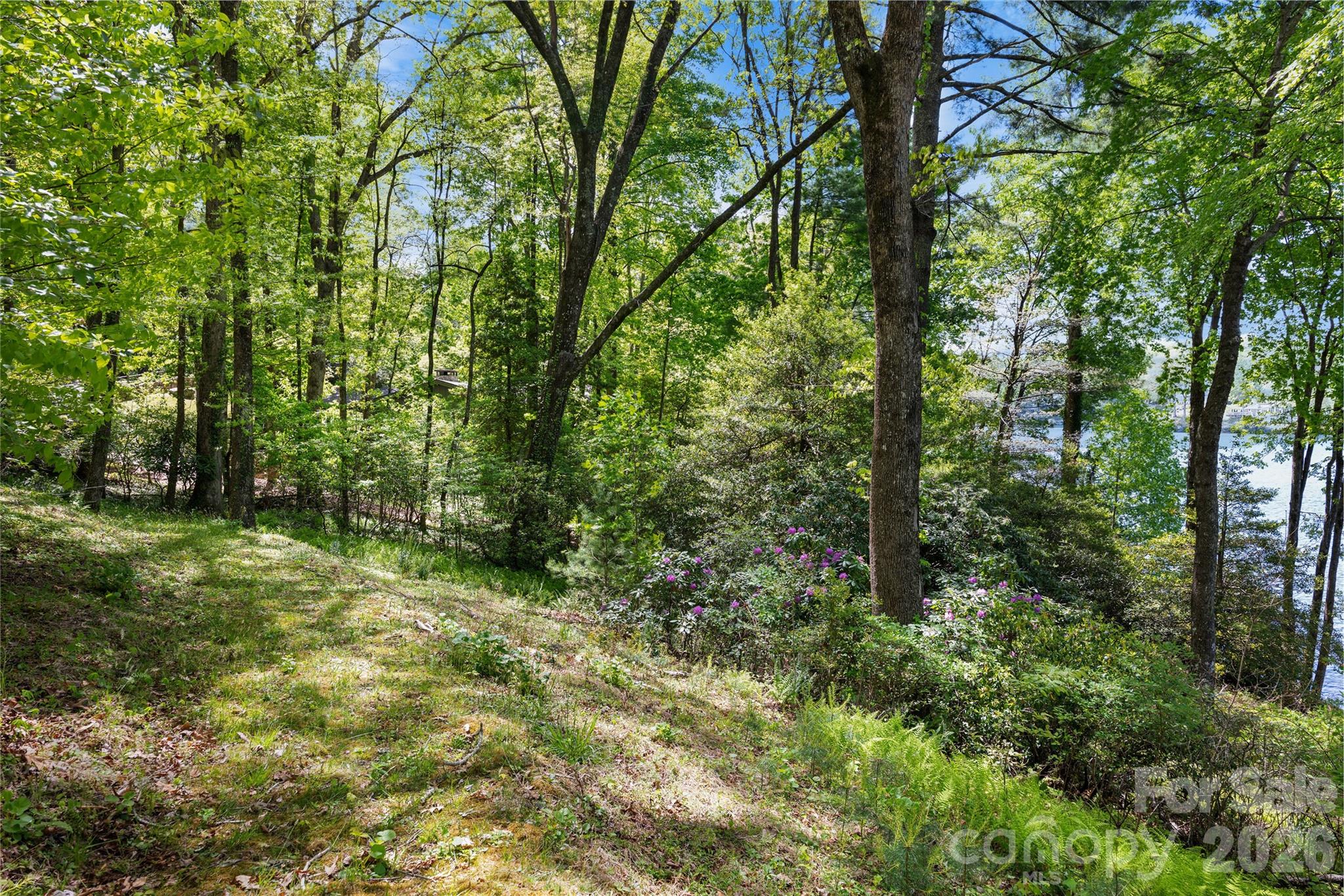1923 Cold Mountain Road Property Photo 6
