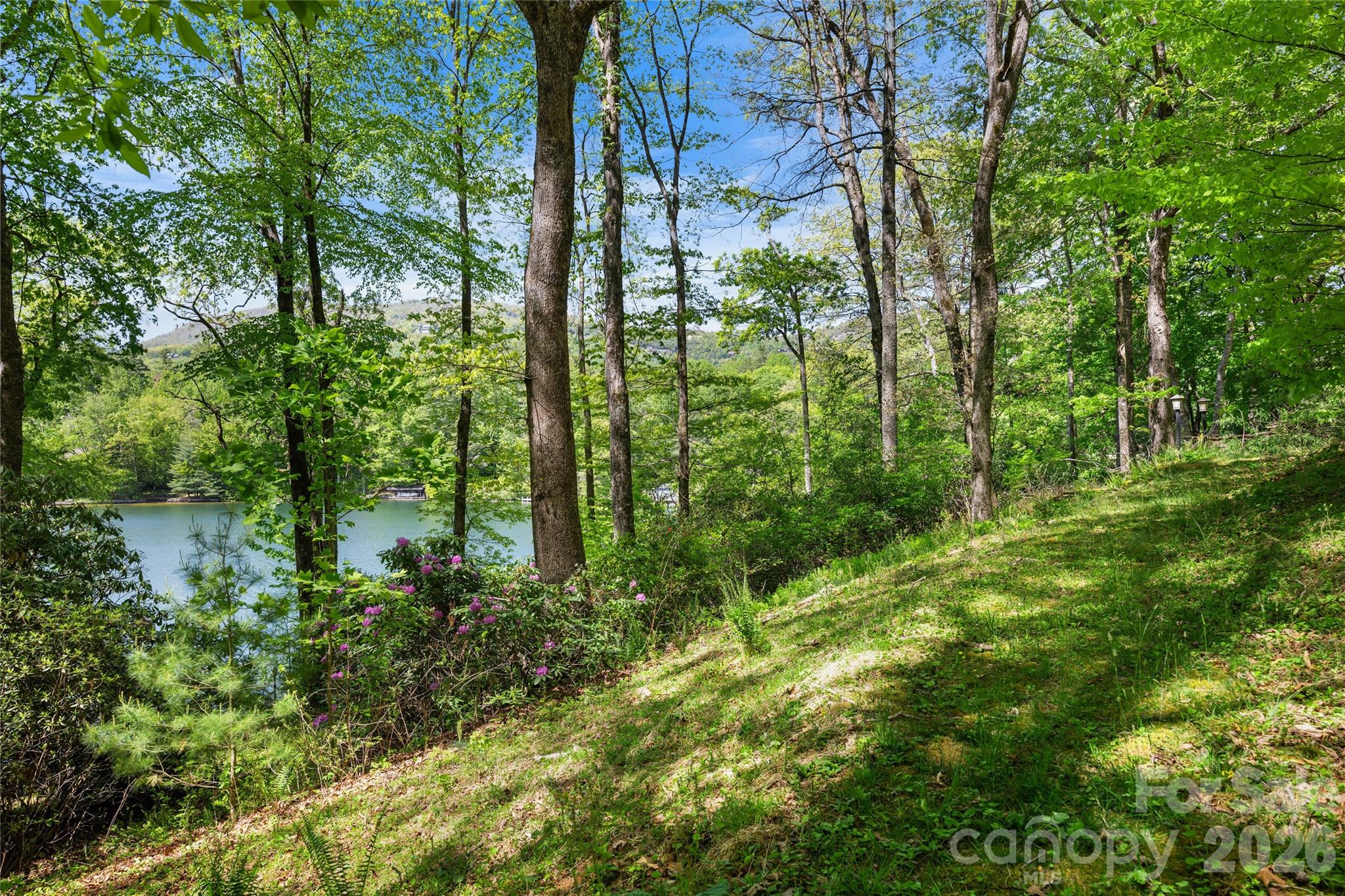 1923 Cold Mountain Road Property Photo 7