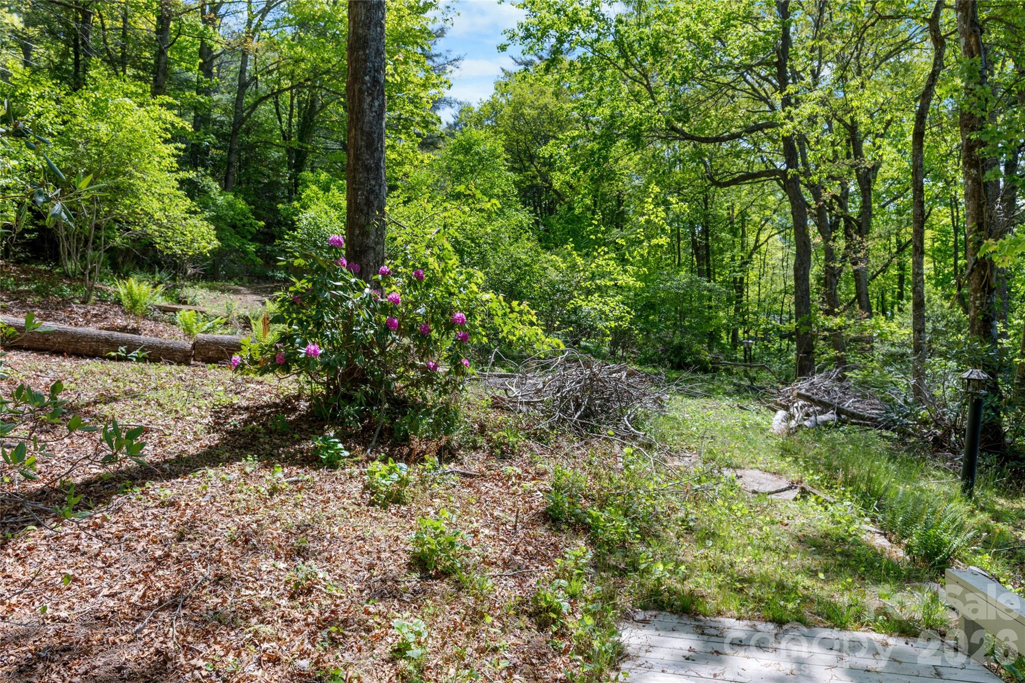 1923 Cold Mountain Road Property Photo 8