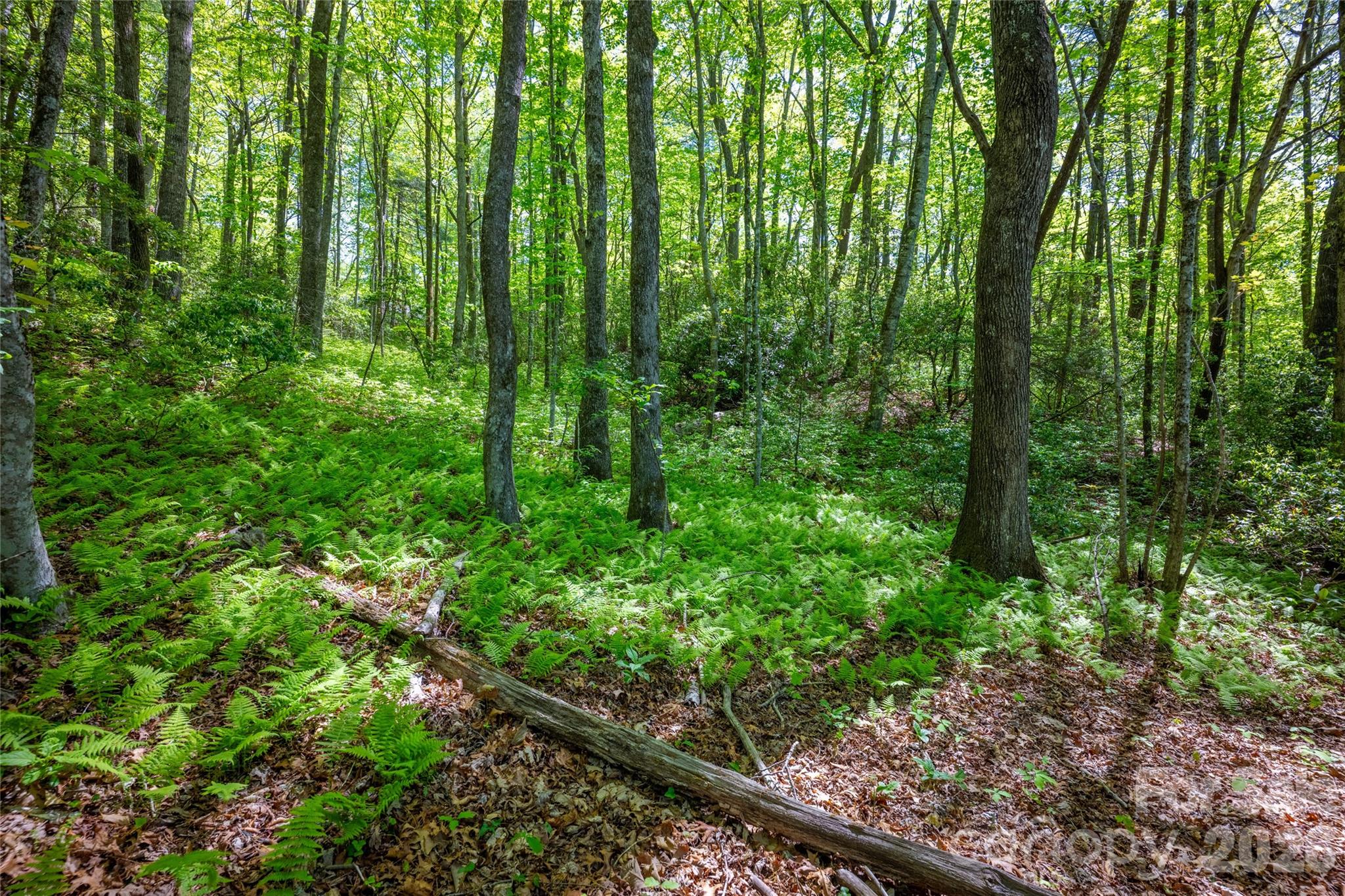 1923 Cold Mountain Road Property Photo 16