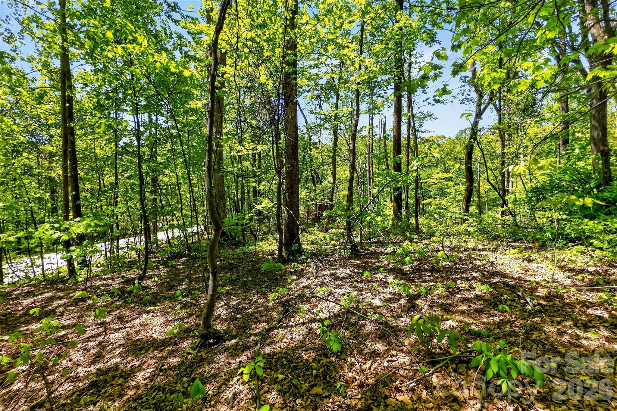 7 Gateway Parkway Property Photo 4