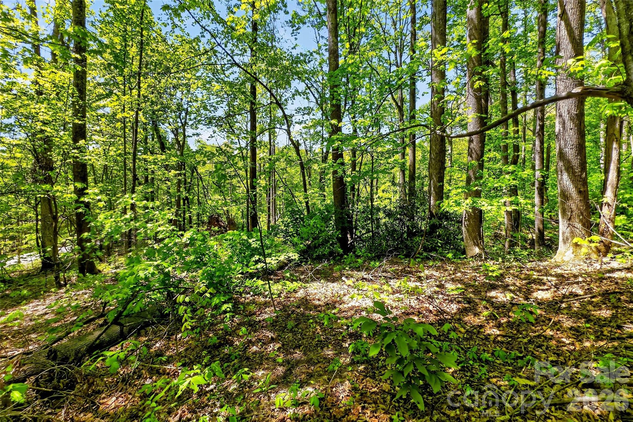 7 Gateway Parkway Property Photo 20