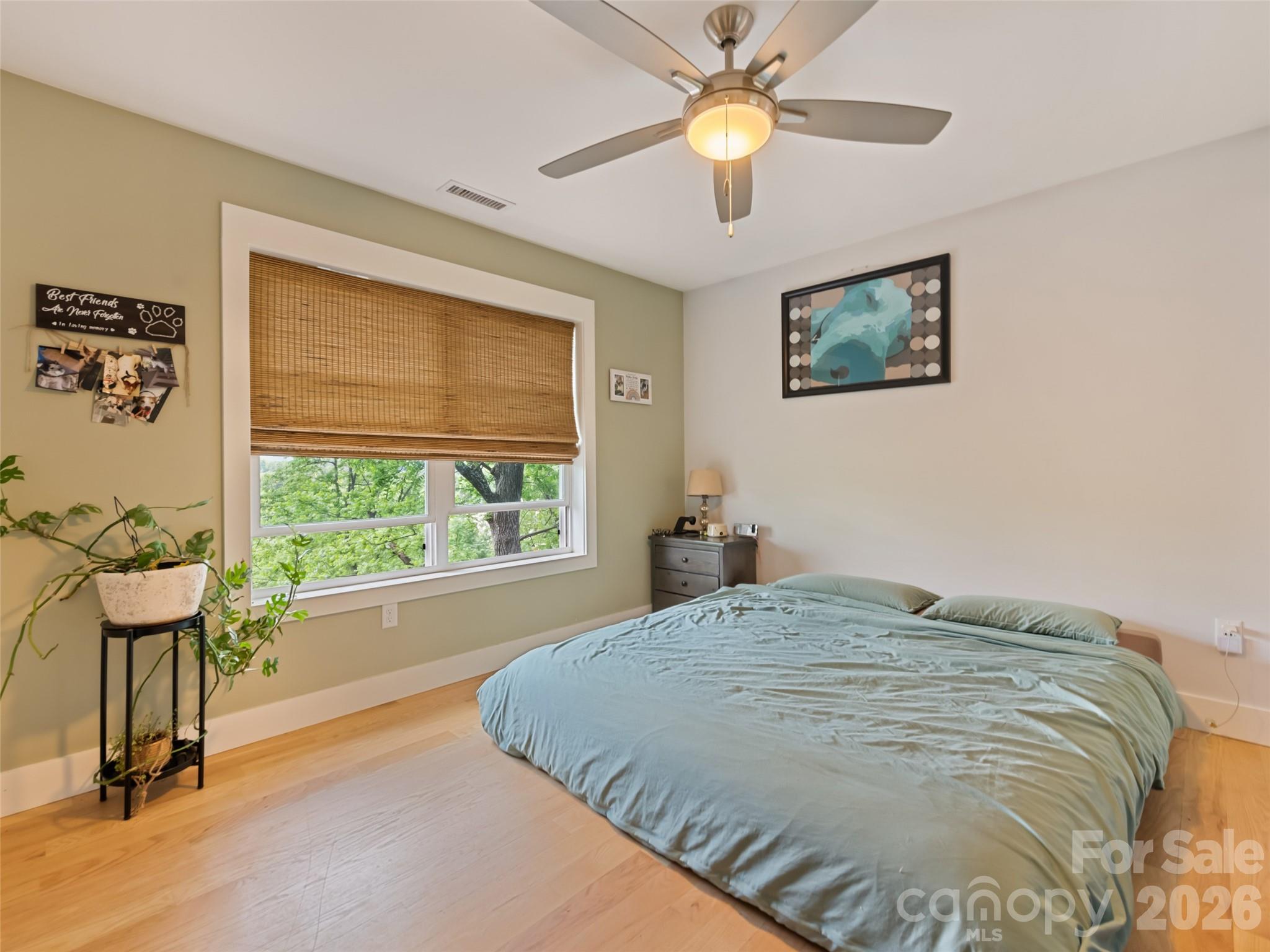 221 Northside Street Property Photo 19