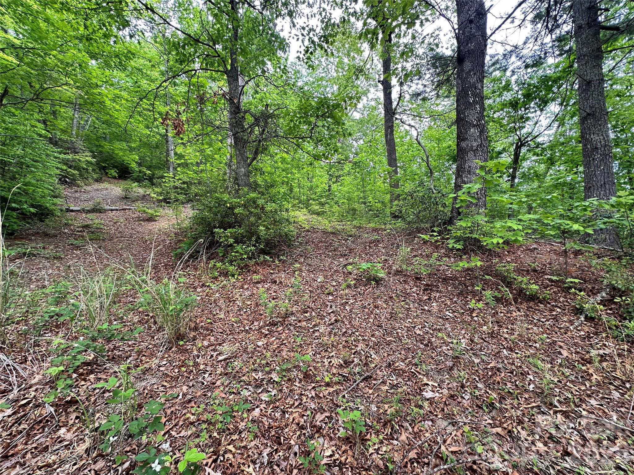99999 Bird Creek Estates Road Property Photo 16