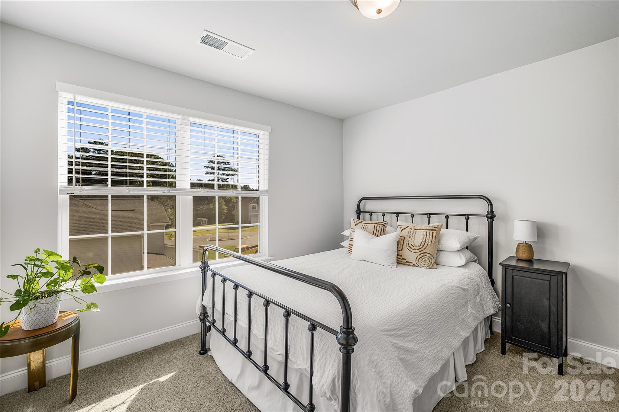 413 Colton Street Property Photo 29