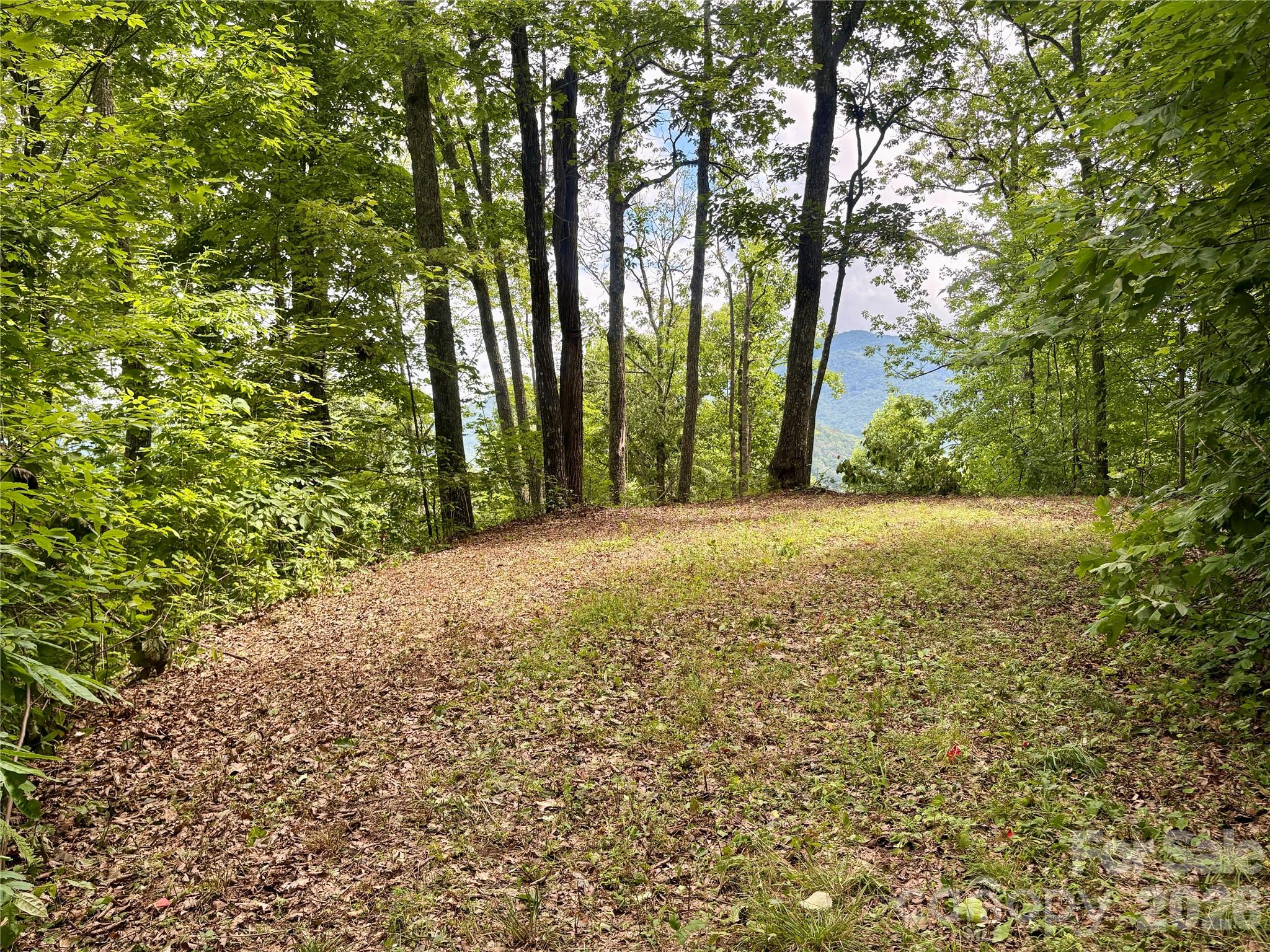 0 Carpenter Road