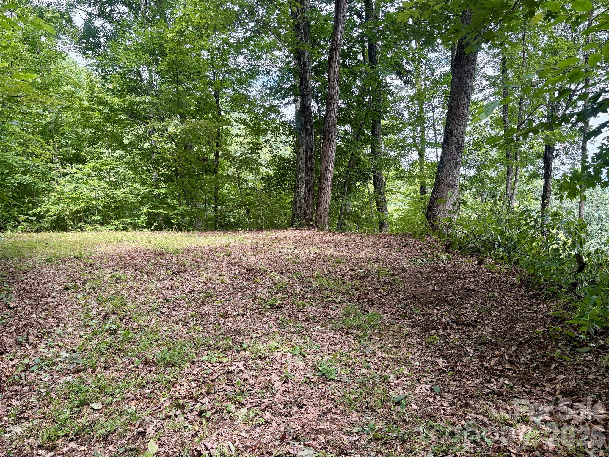 0 Carpenter Road Property Photo 7