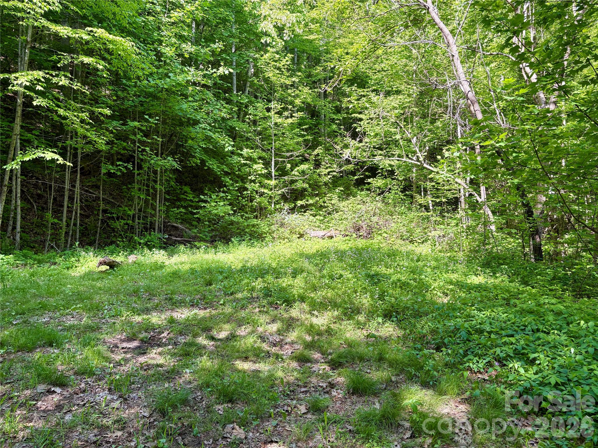 0 Carpenter Road Property Photo 11