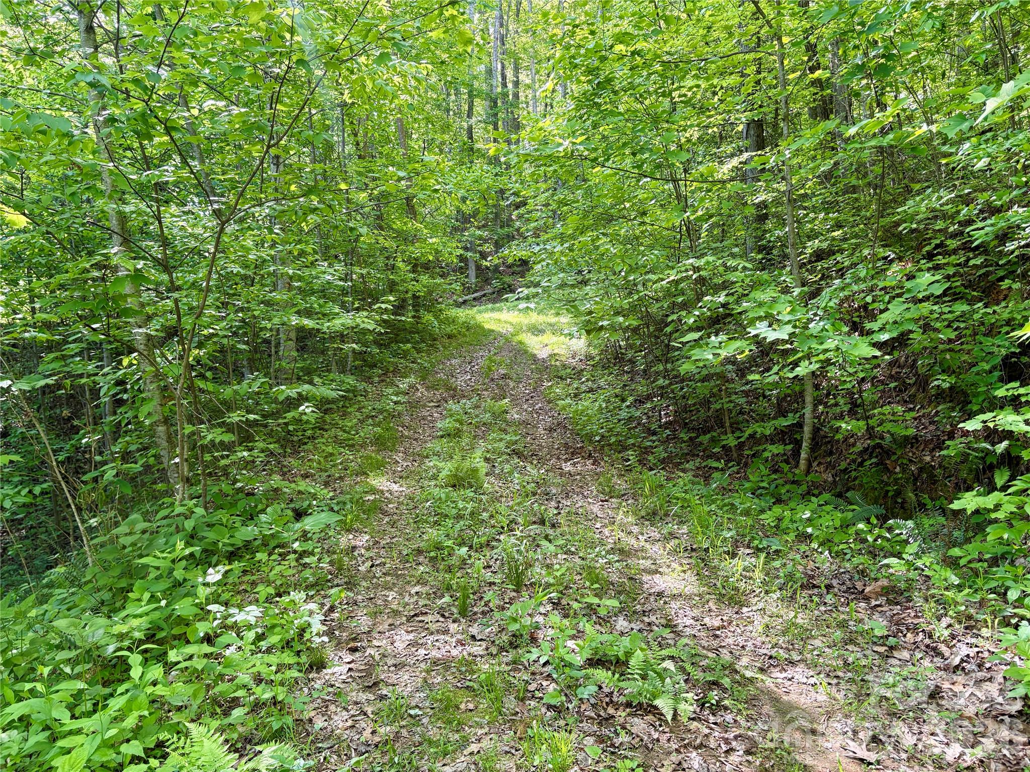 0 Carpenter Road Property Photo 14