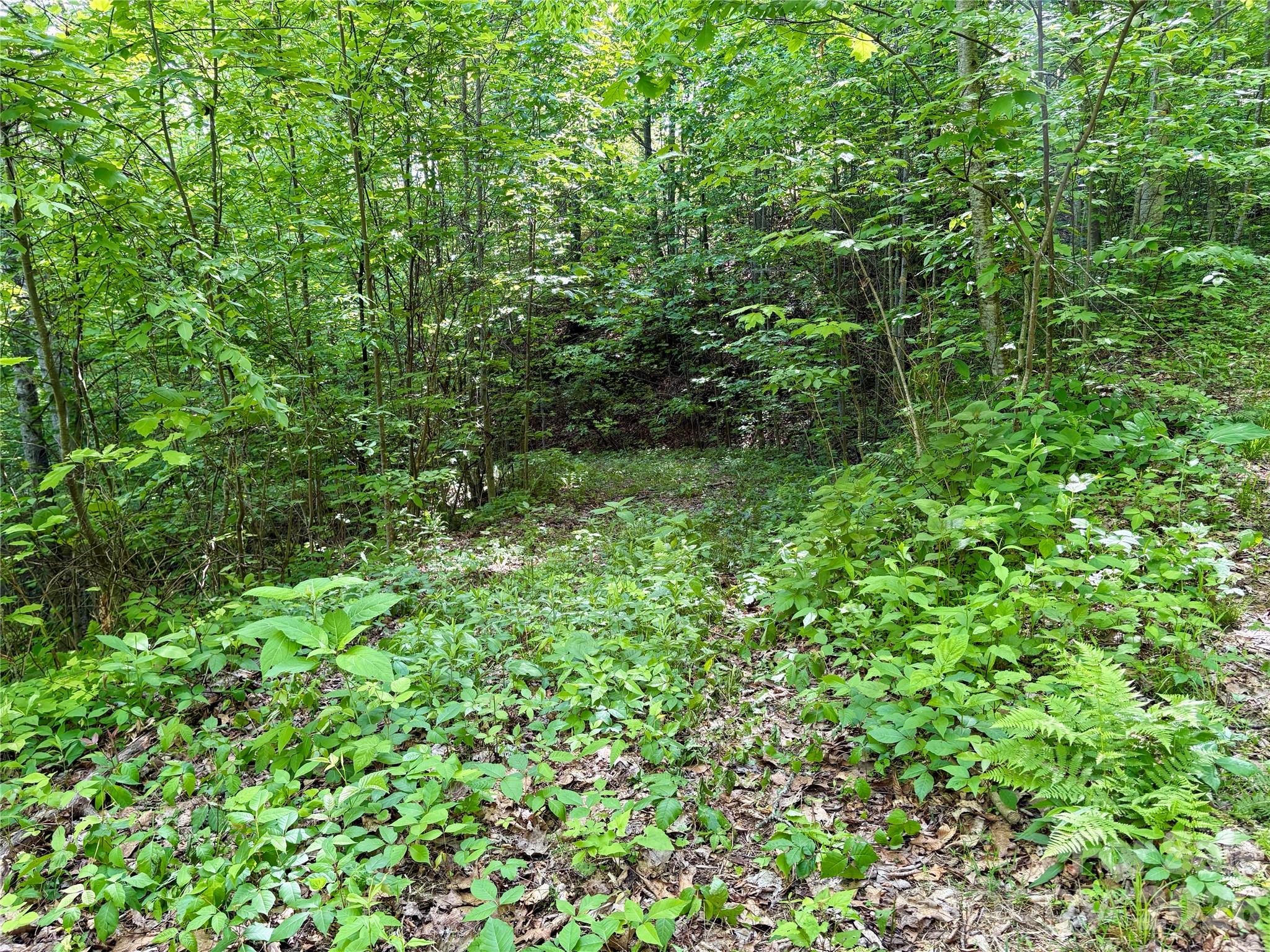 0 Carpenter Road Property Photo 15