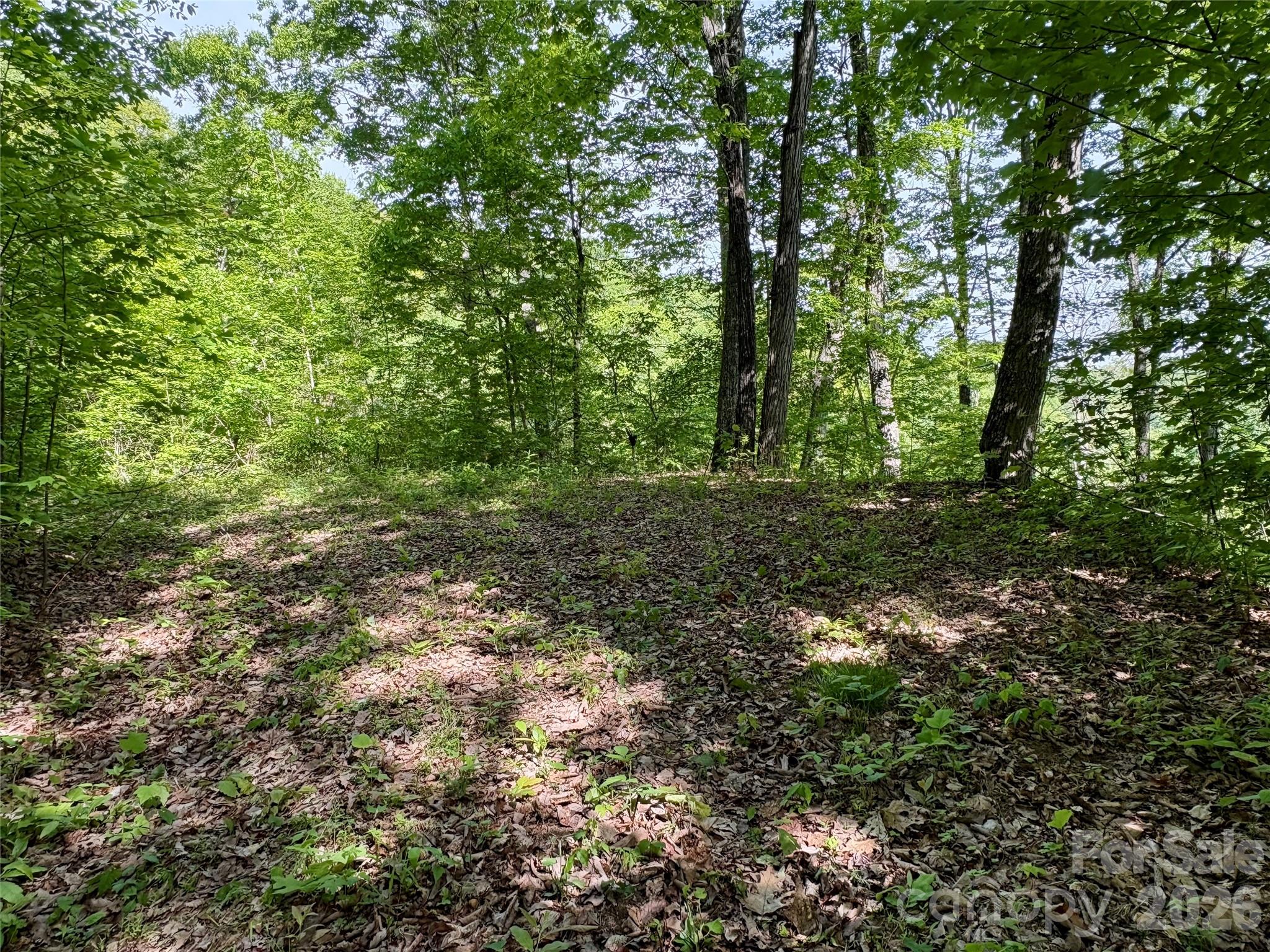 0 Carpenter Road Property Photo 17