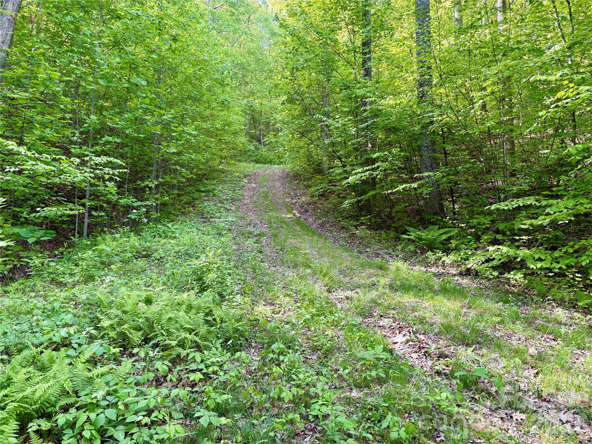 0 Carpenter Road Property Photo 18