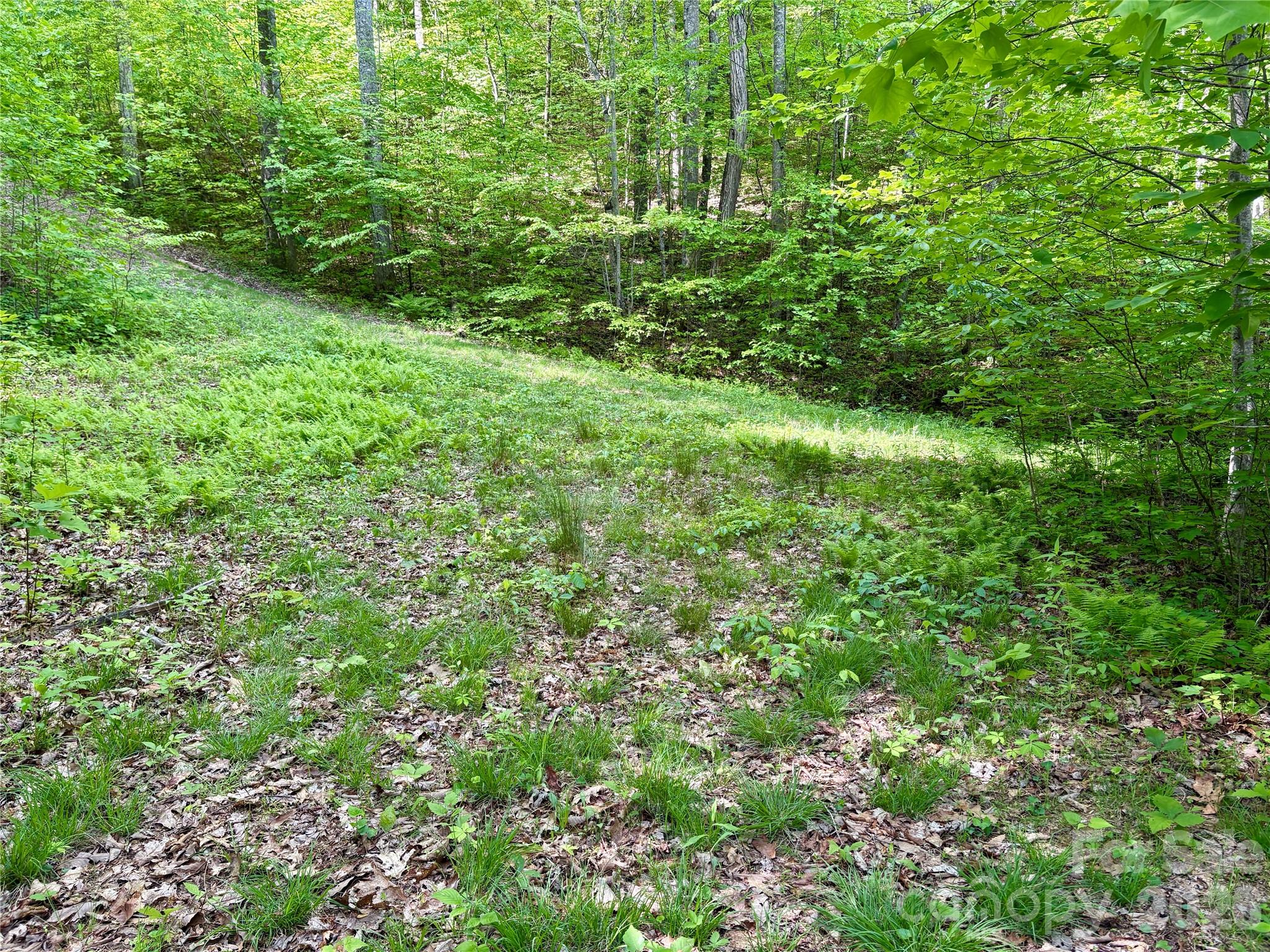 0 Carpenter Road Property Photo 20
