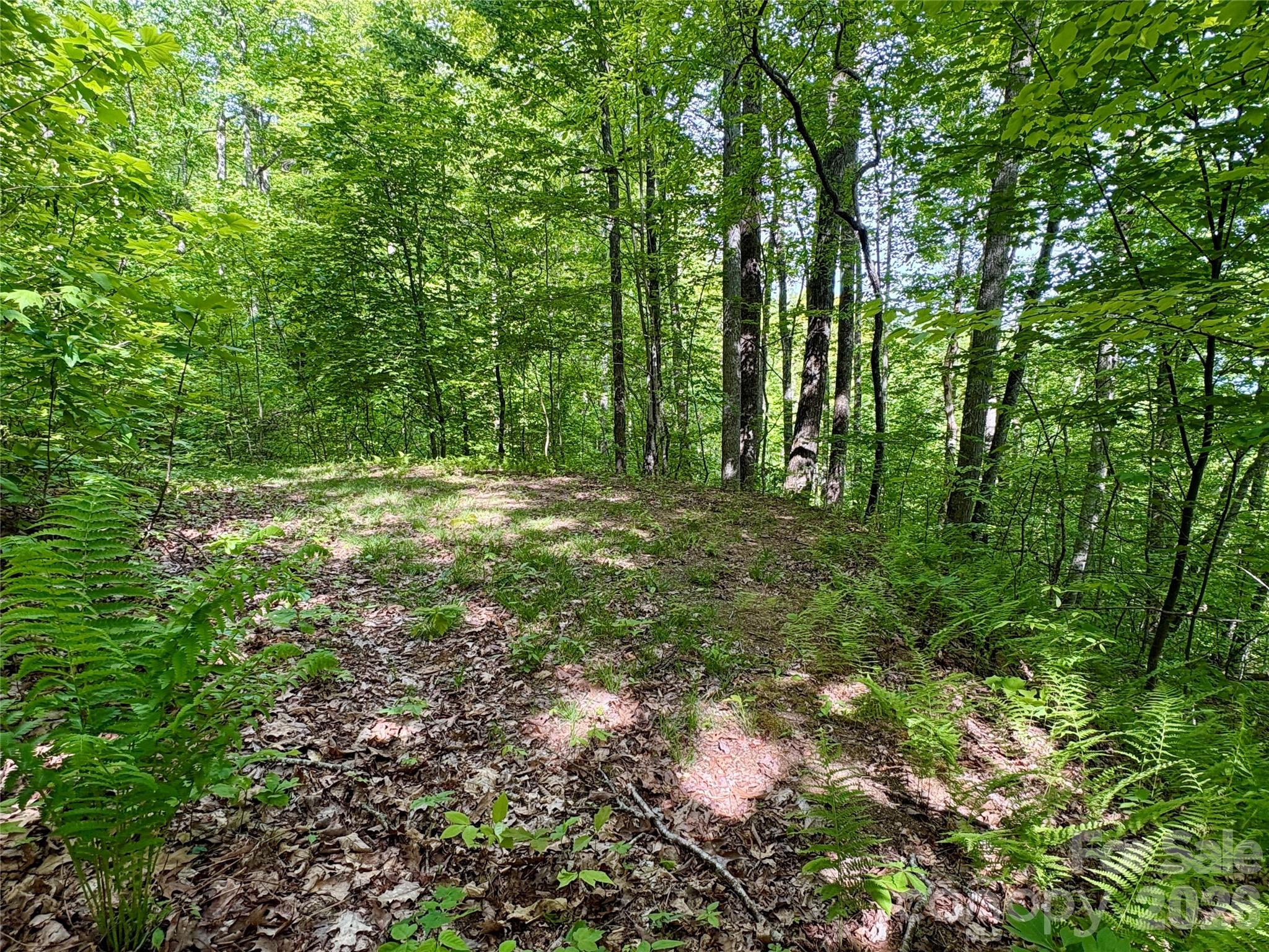 0 Carpenter Road Property Photo 21