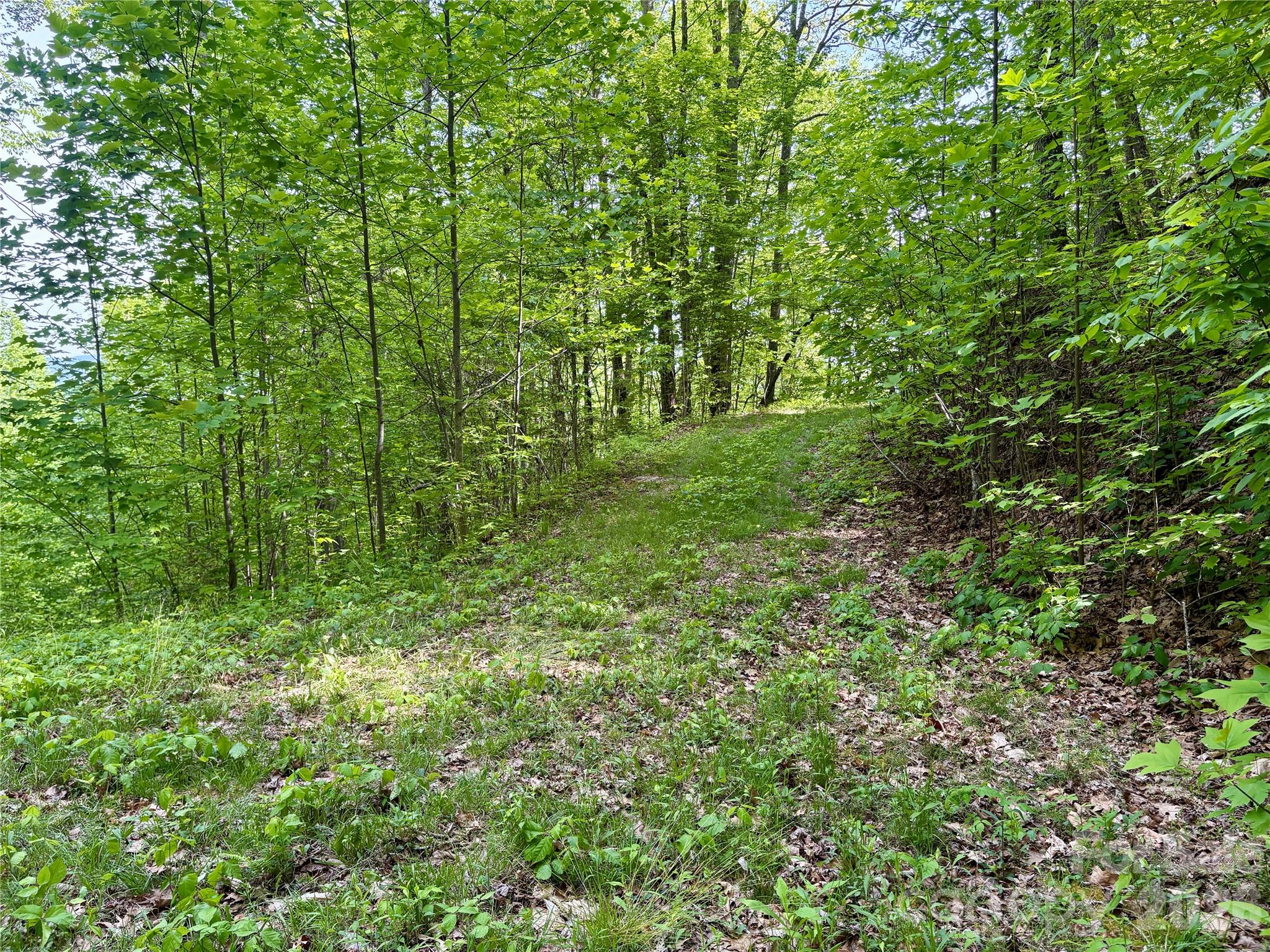 0 Carpenter Road Property Photo 23
