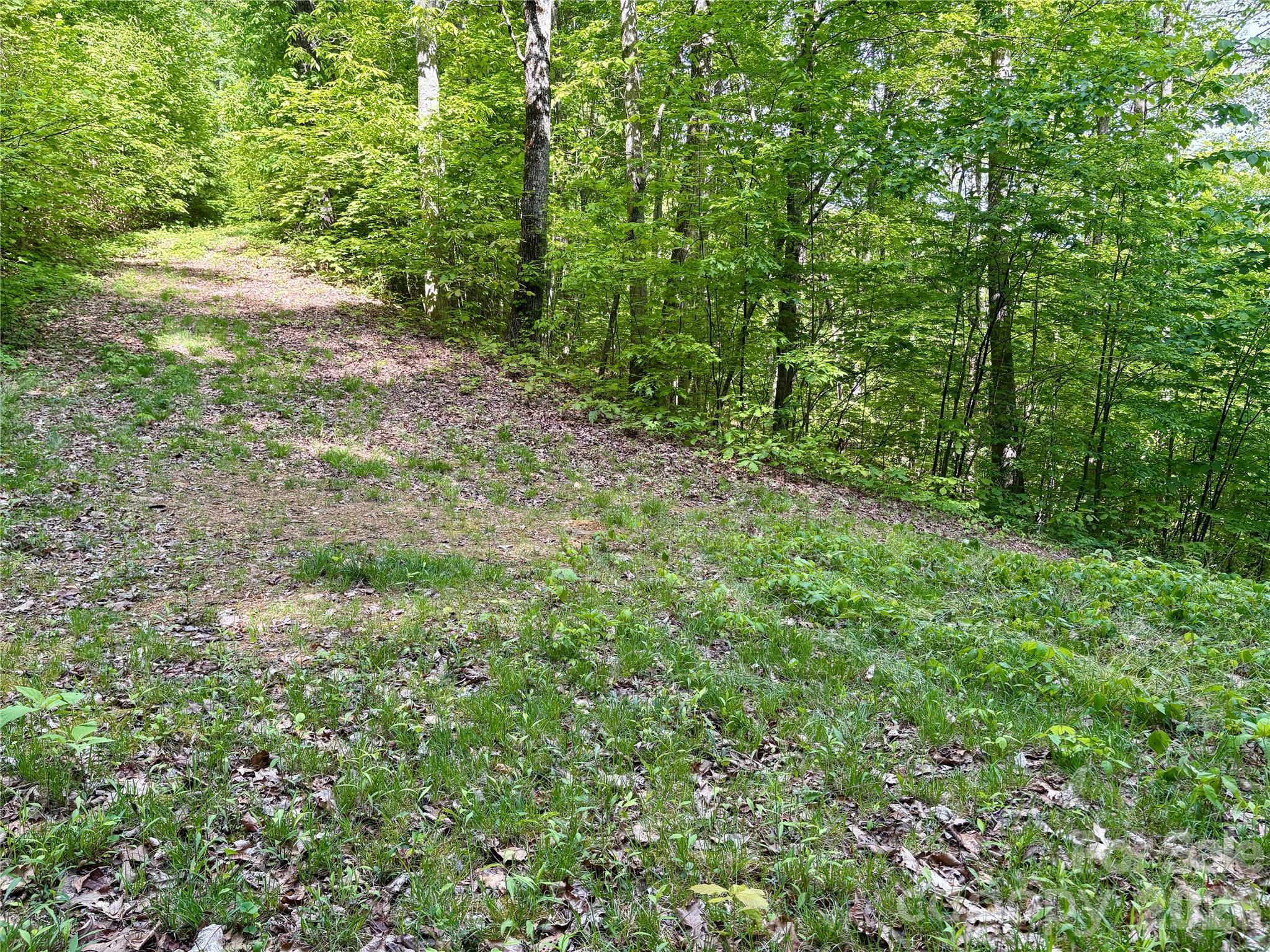 0 Carpenter Road Property Photo 24