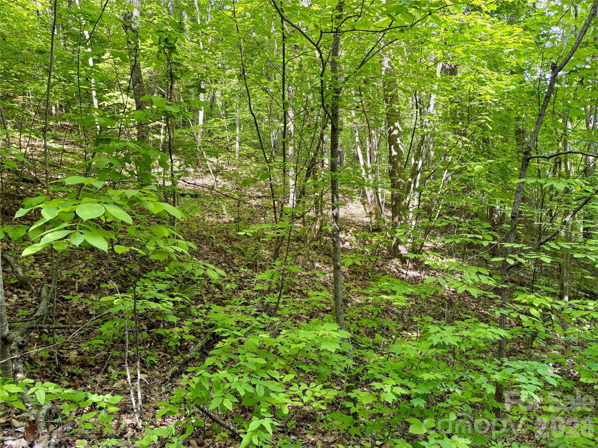 0 Carpenter Road Property Photo 25