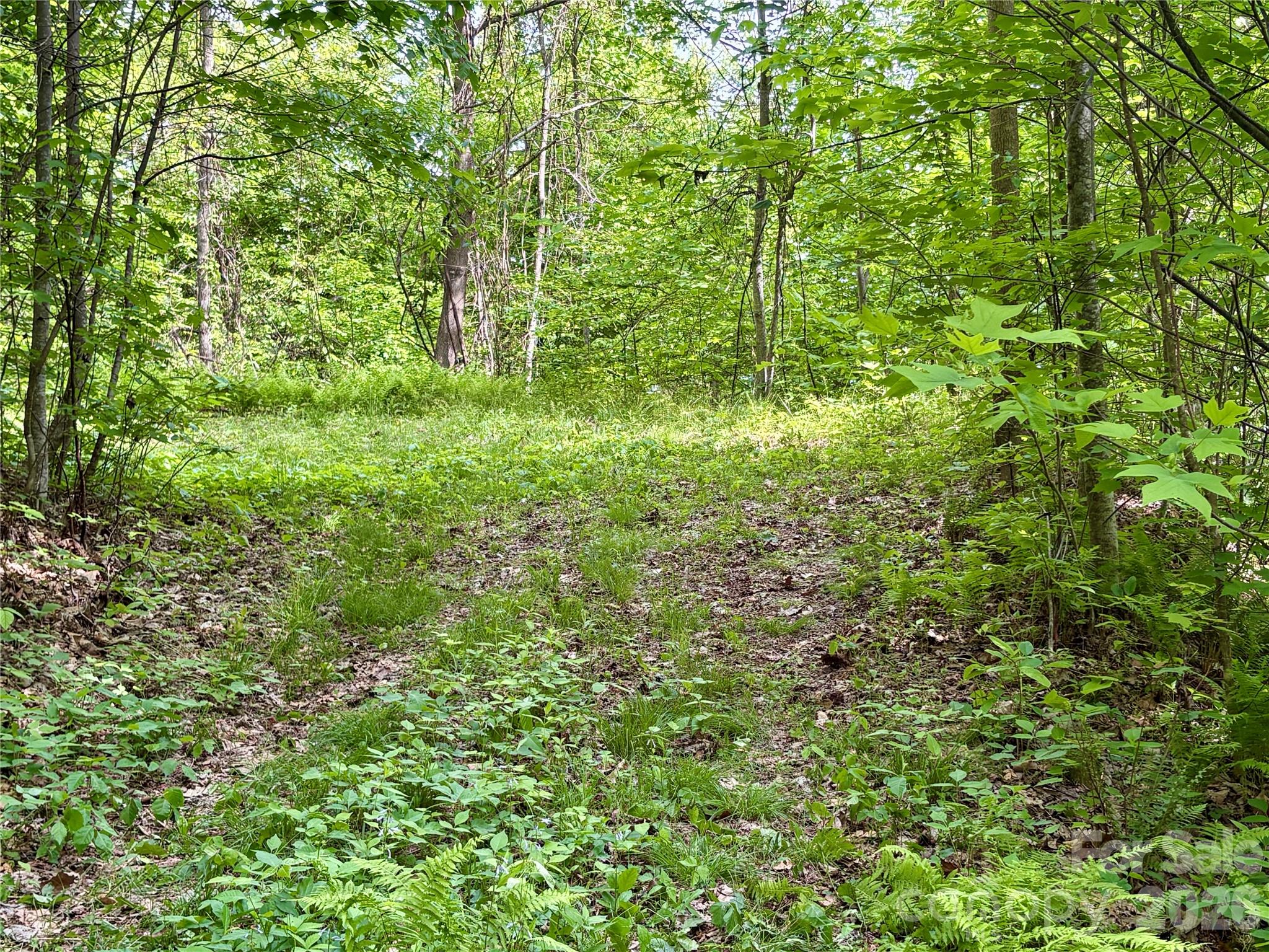 0 Carpenter Road Property Photo 30