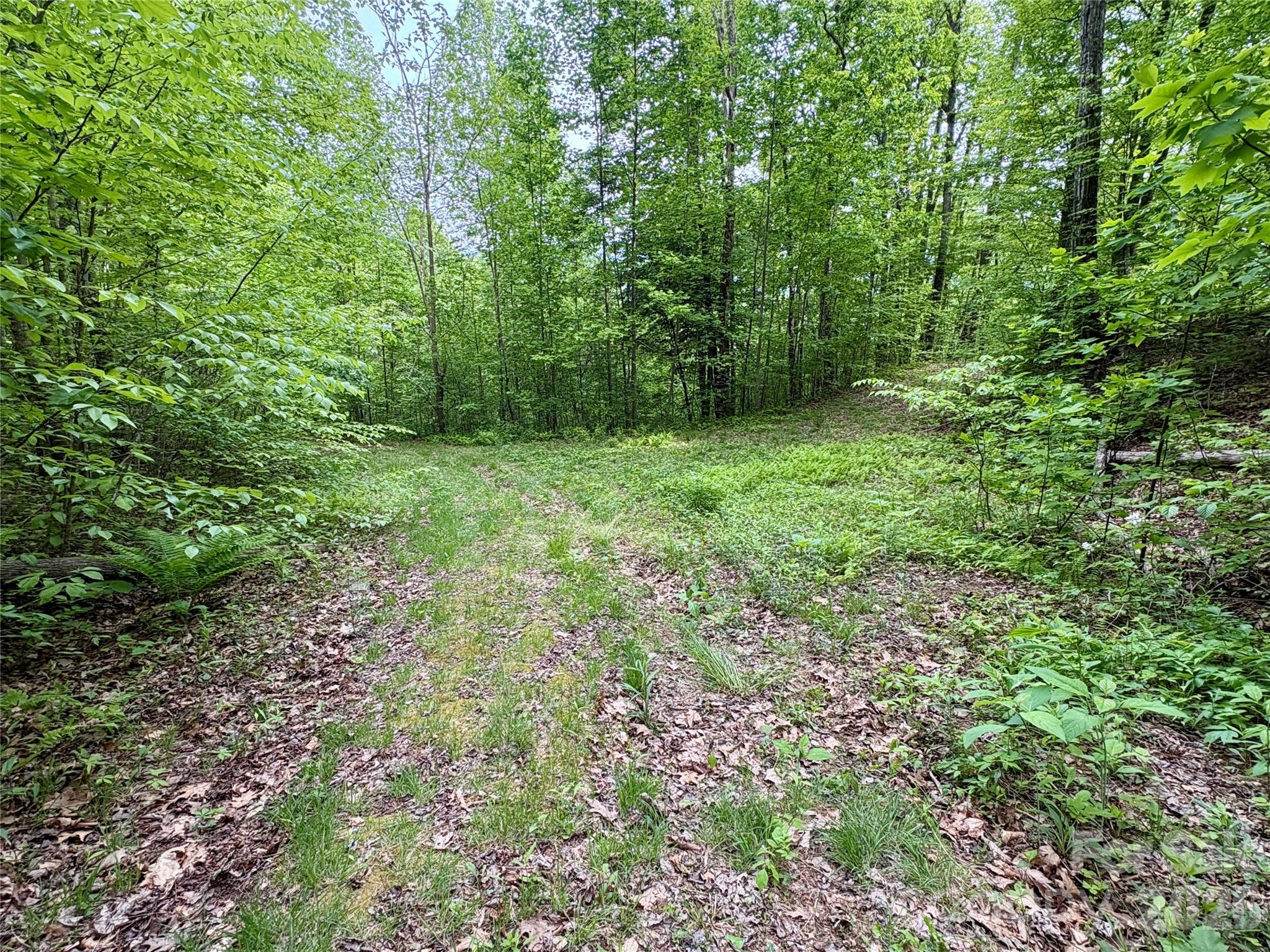 0 Carpenter Road Property Photo 32