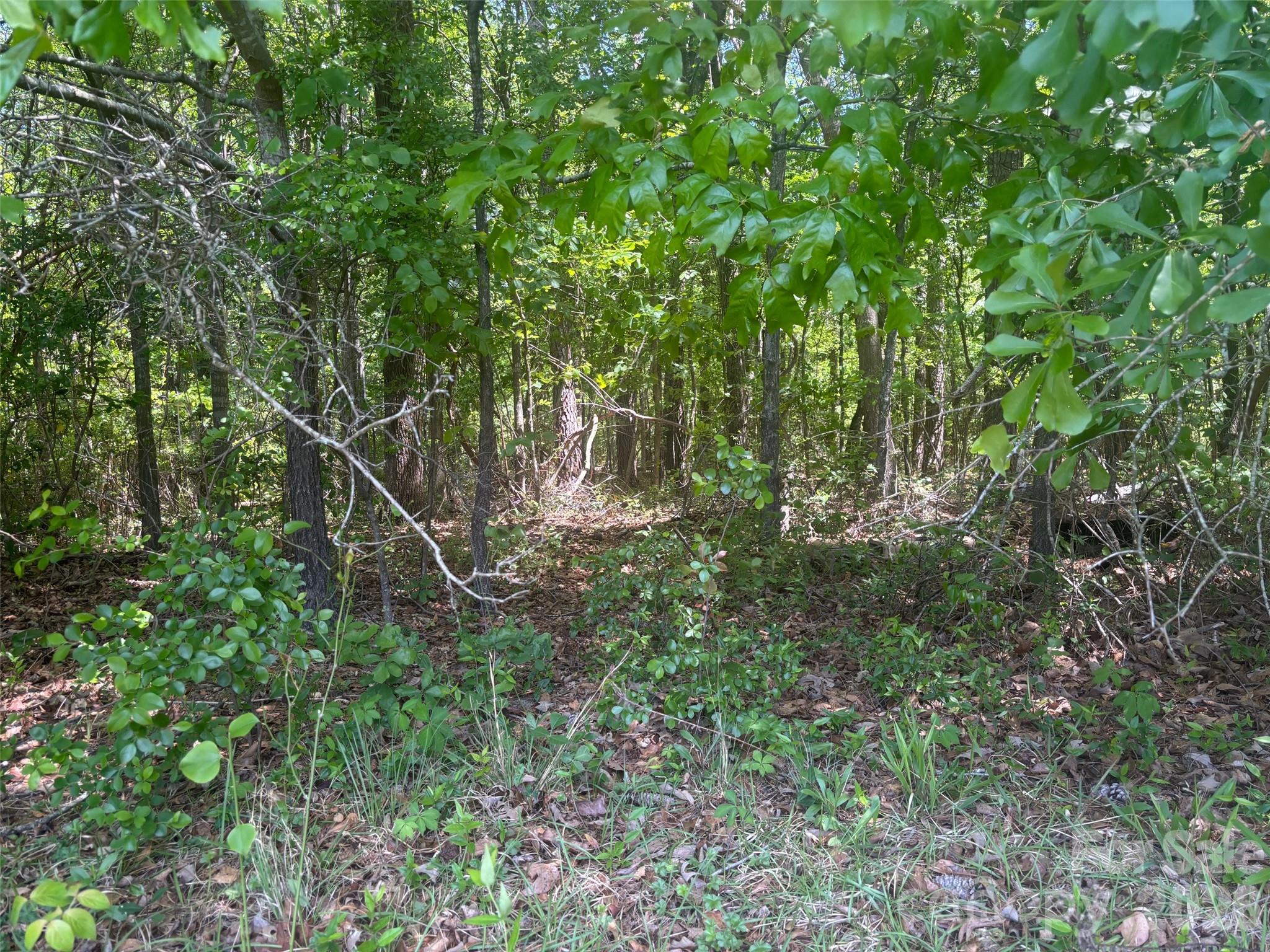2206 S Highway 1 Highway Property Photo 3