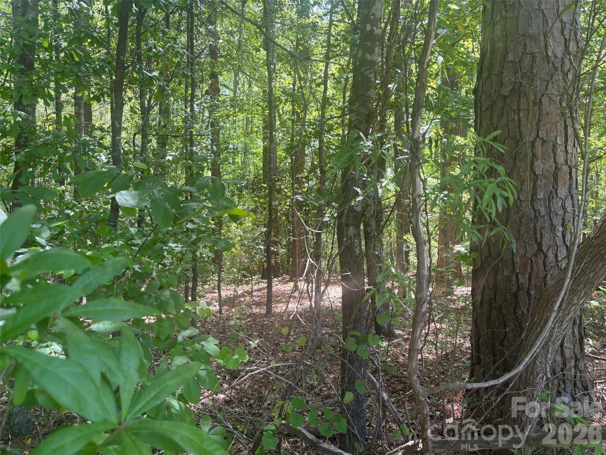 2206 S Highway 1 Highway Property Photo 4