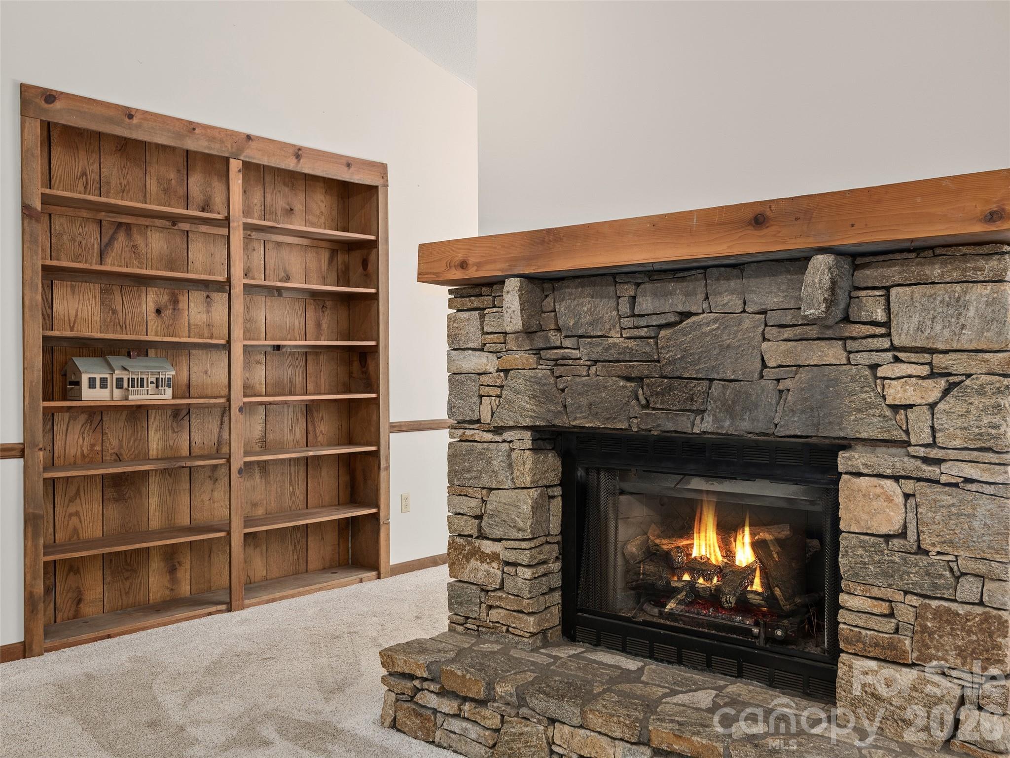 30 Kanuga Heights Lane Property Photo 8