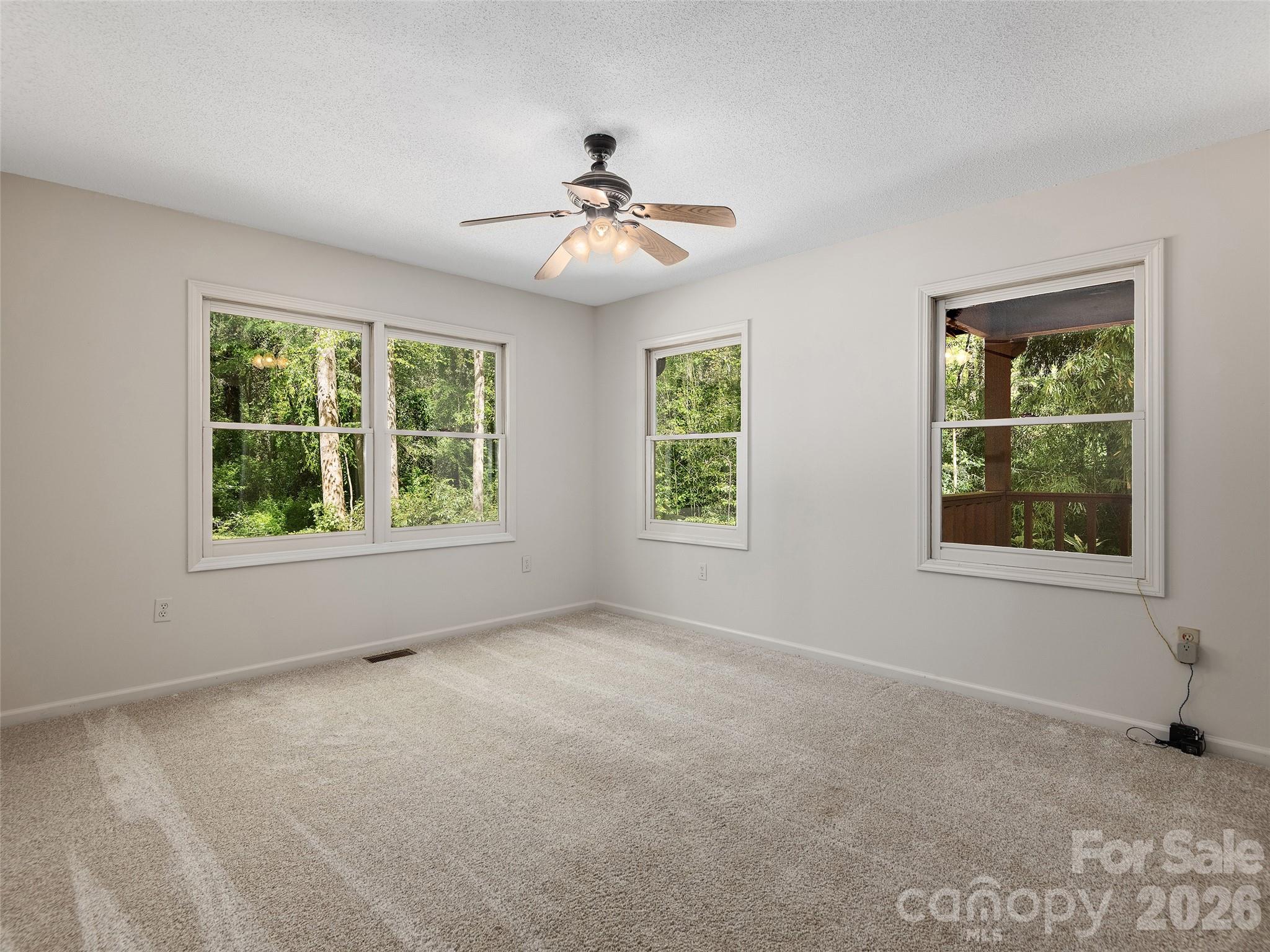 30 Kanuga Heights Lane Property Photo 26