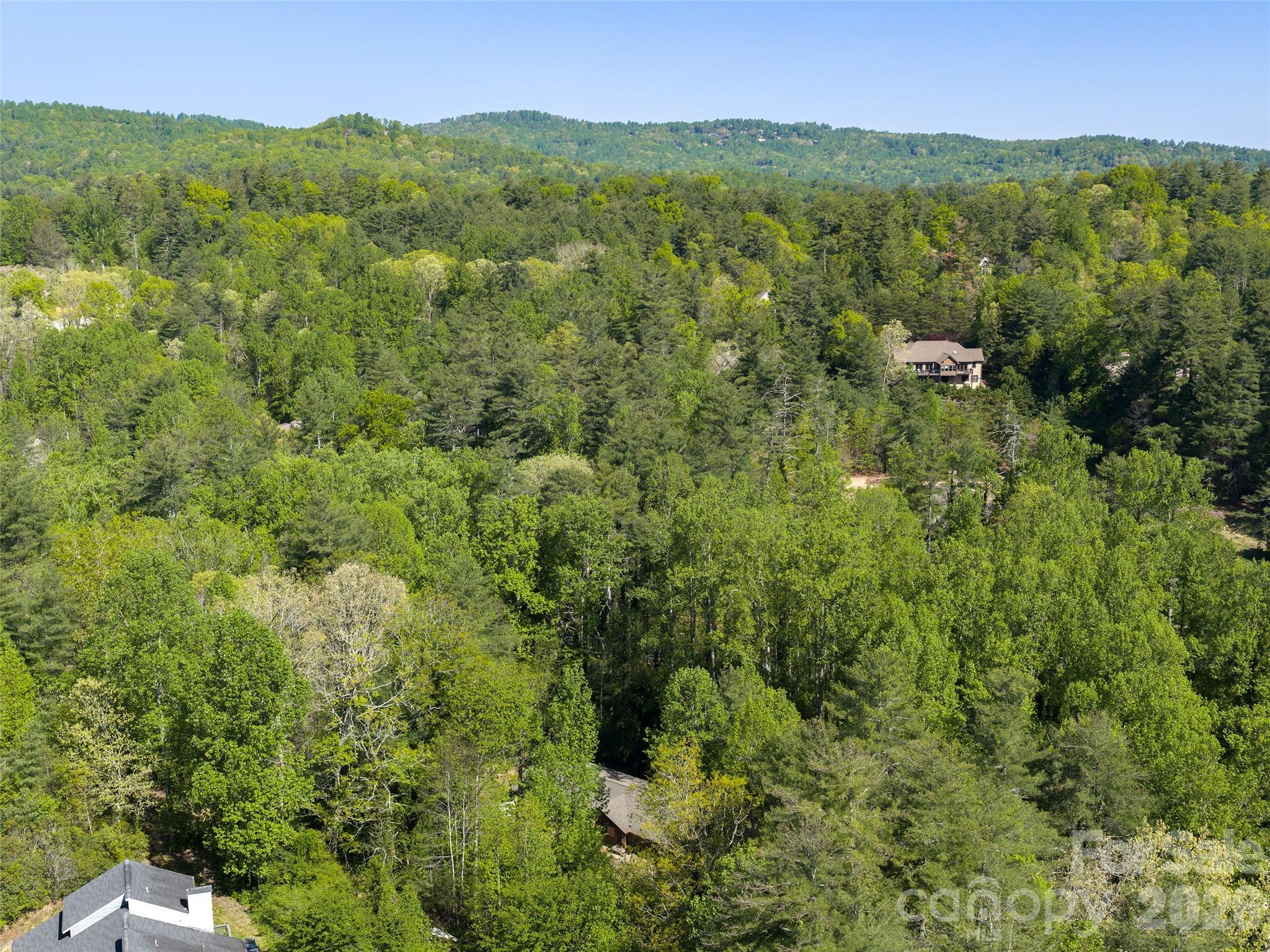 30 Kanuga Heights Lane Property Photo 38