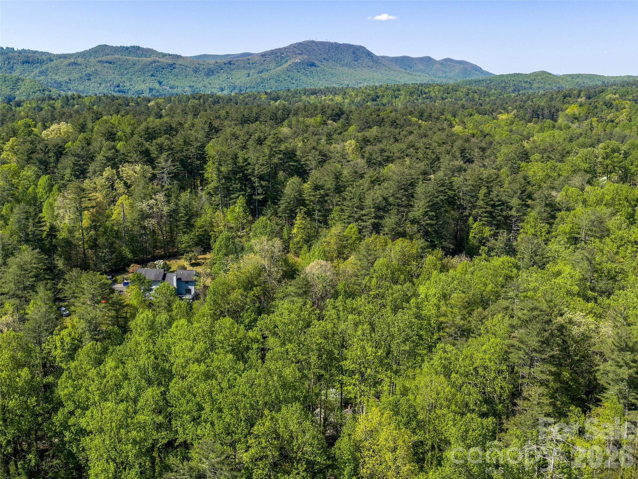 30 Kanuga Heights Lane Property Photo 39
