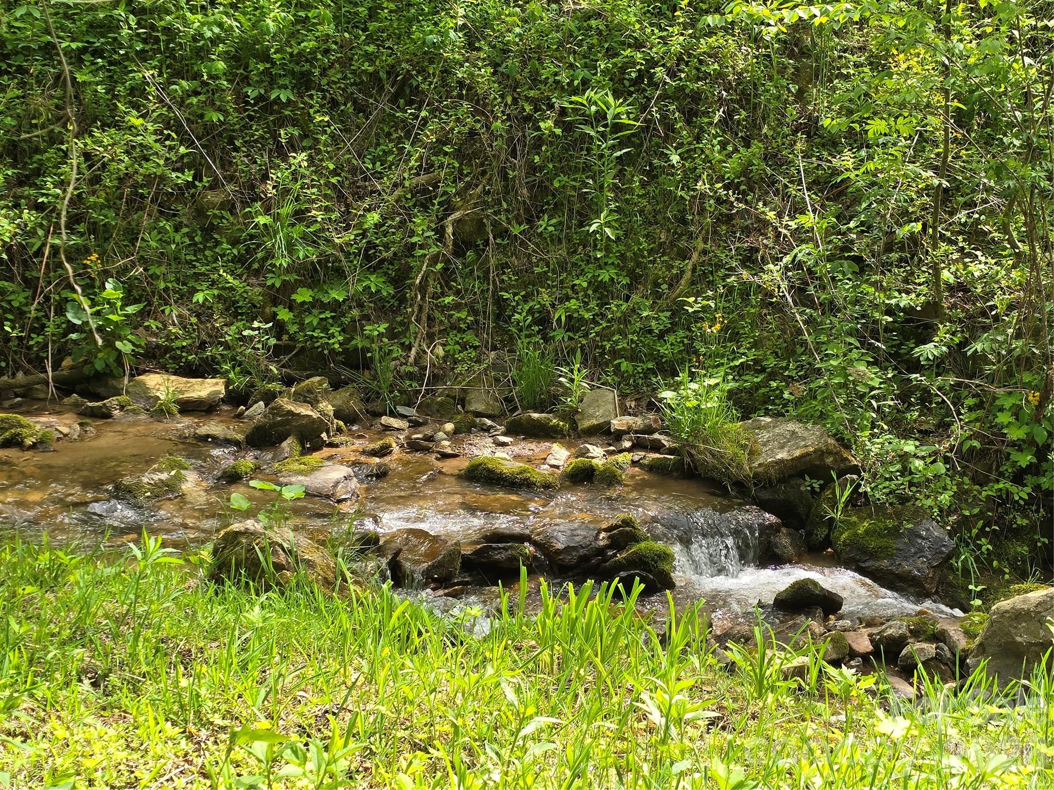 99999 Roaring Fork Road Property Photo 1