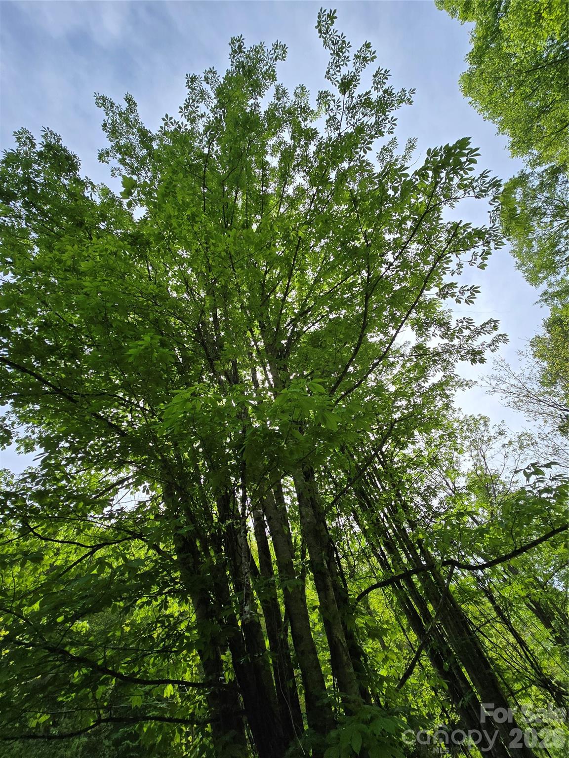99999 Roaring Fork Road Property Photo 3